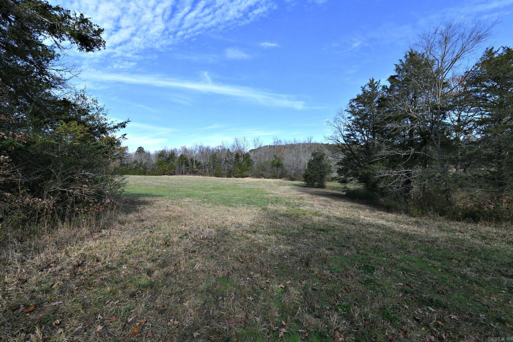 Tract 5  Acheson Lane  Mena, AR