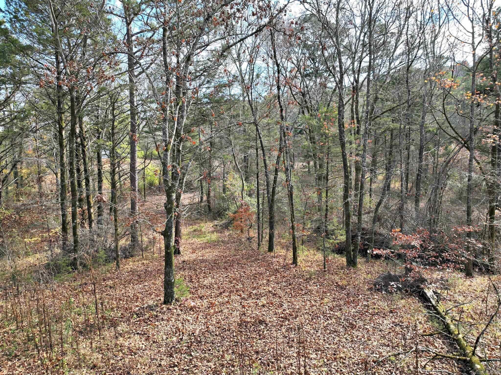 Tract 5  Acheson Lane  Mena, AR