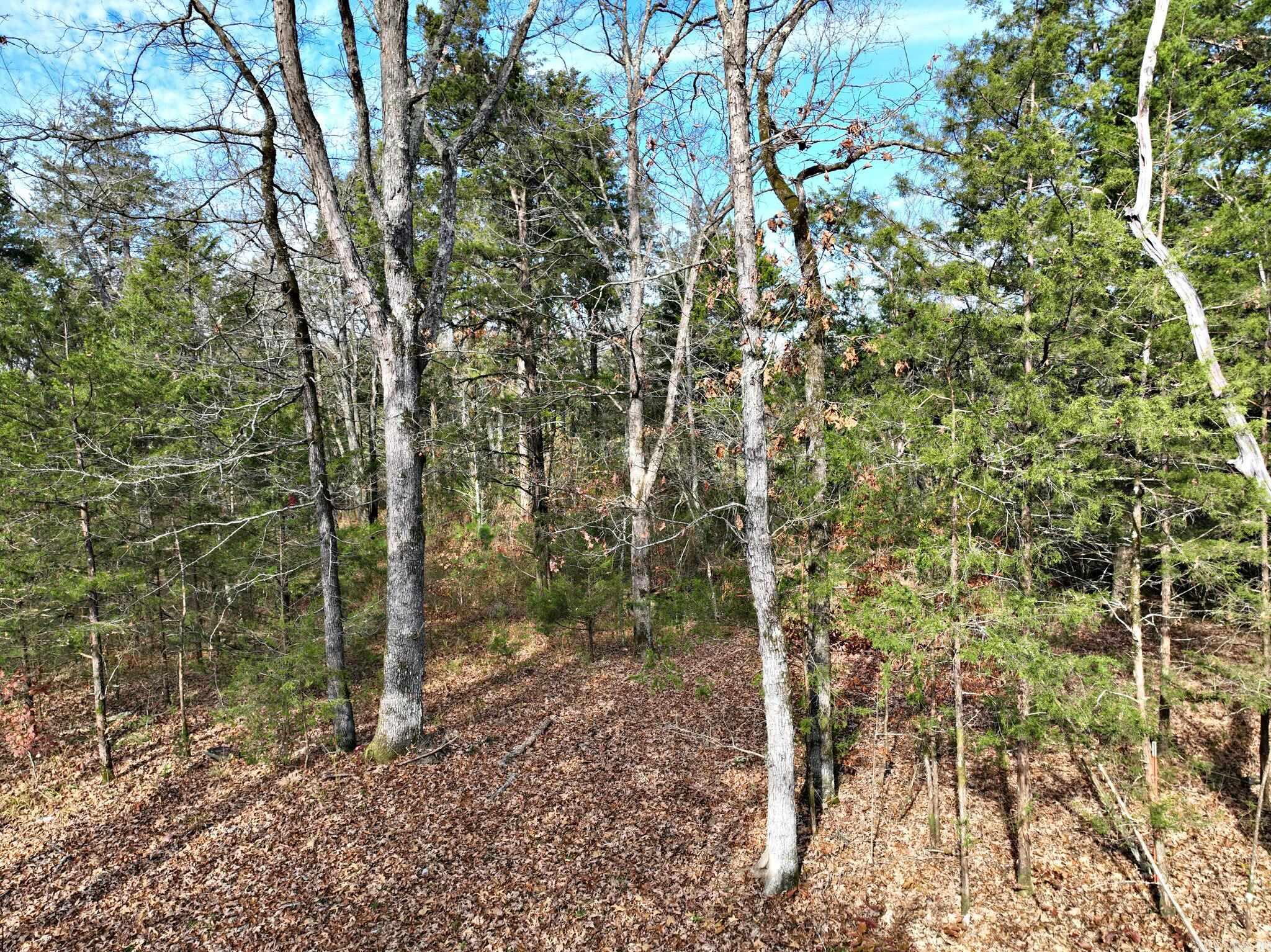Tract 5  Acheson Lane  Mena, AR