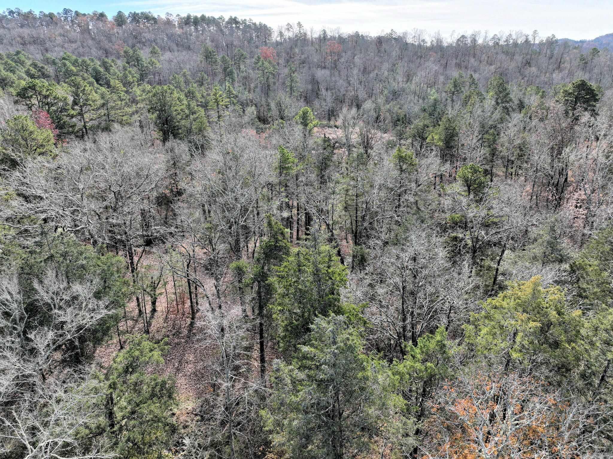 Tract 5  Acheson Lane  Mena, AR