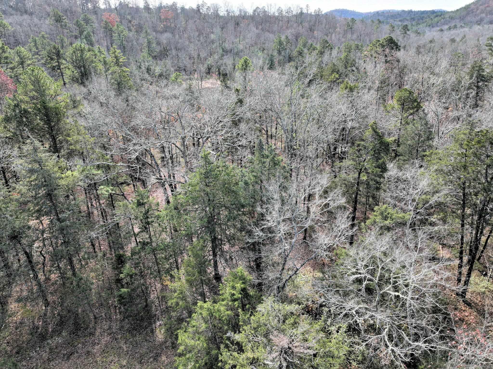 Tract 5  Acheson Lane  Mena, AR