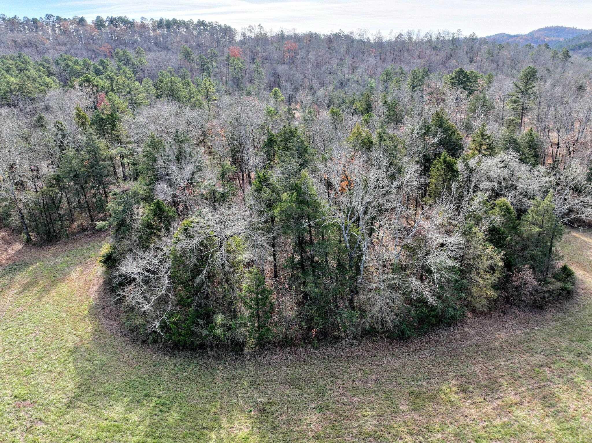 Tract 5  Acheson Lane  Mena, AR