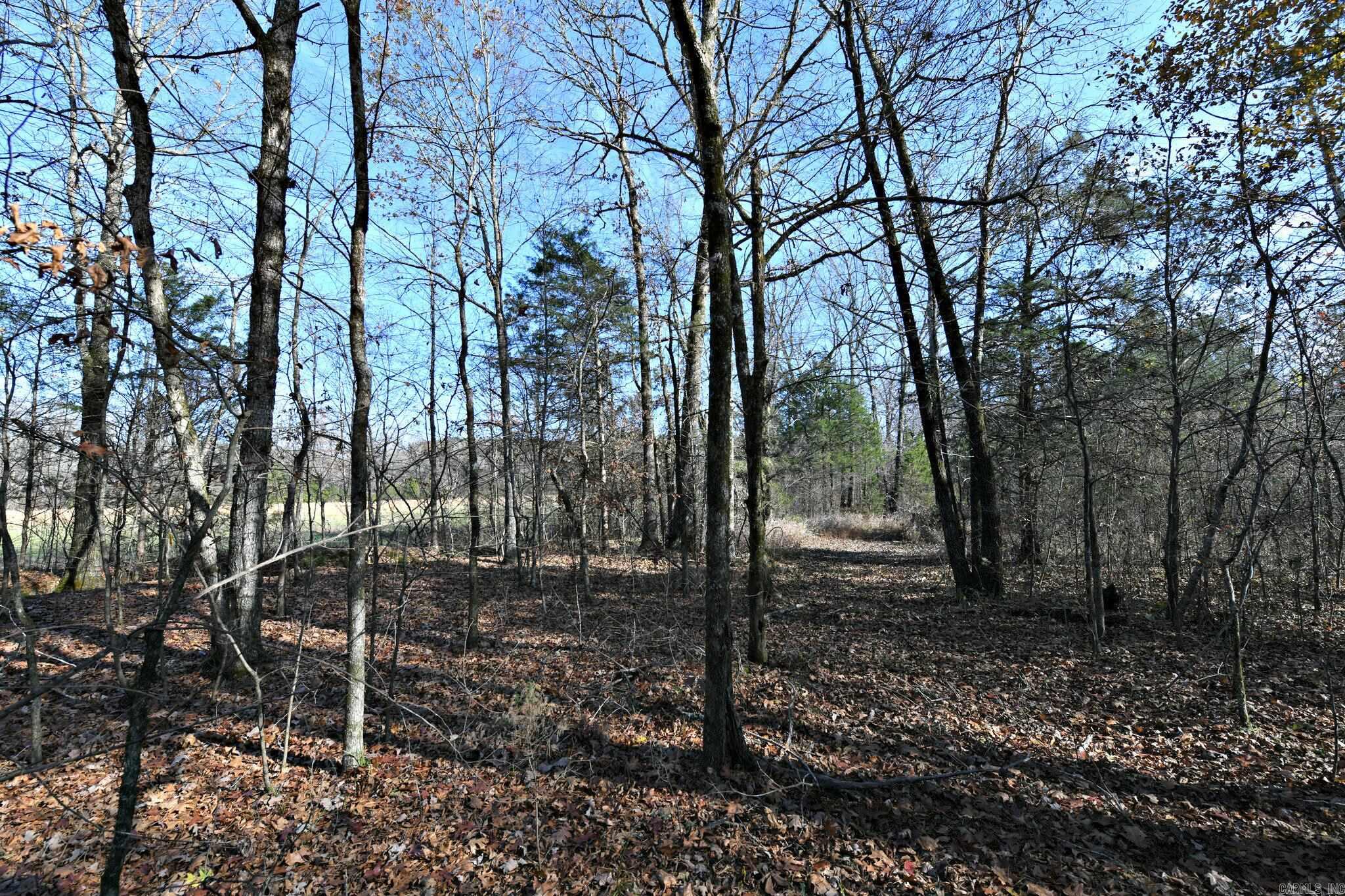 Tract 3  Highway 8 E  Mena, AR