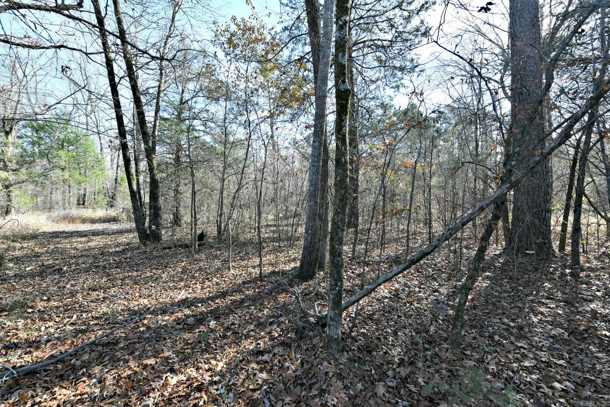 Tract 3  Highway 8 E  Mena, AR