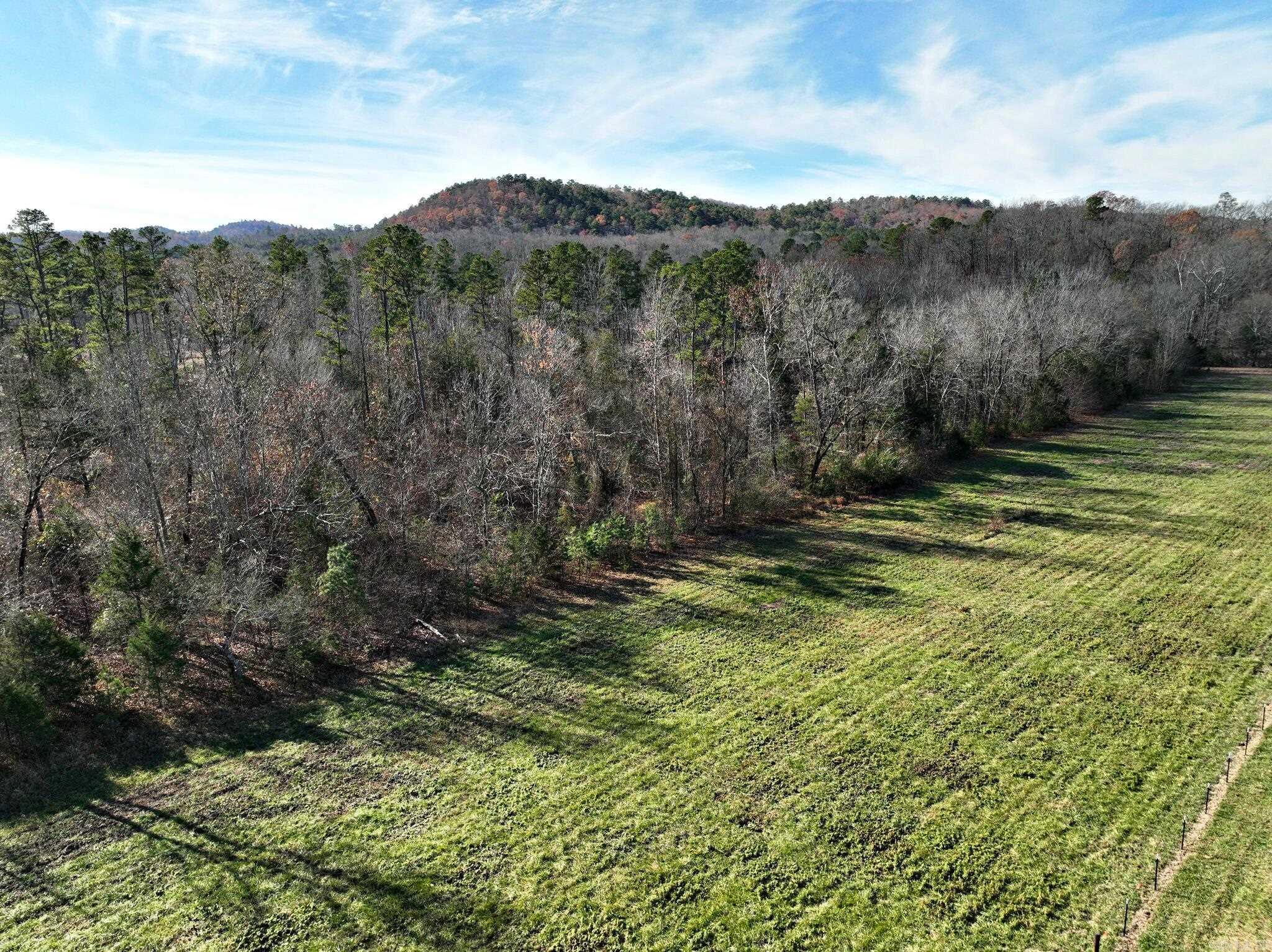 Tract 3  Highway 8 E  Mena, AR