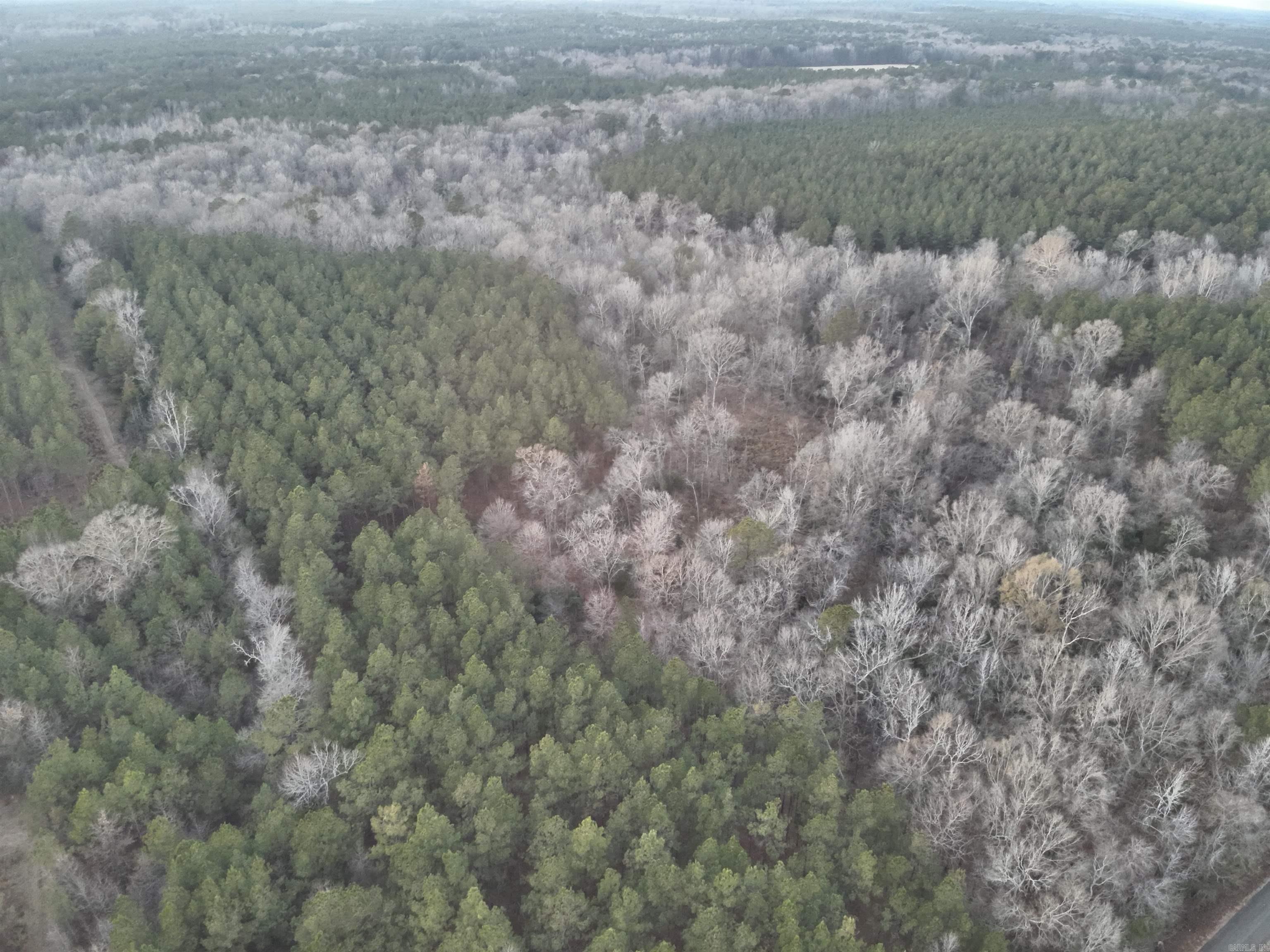 12,14-15-21  Nevada CR 168  Lamartine, AR