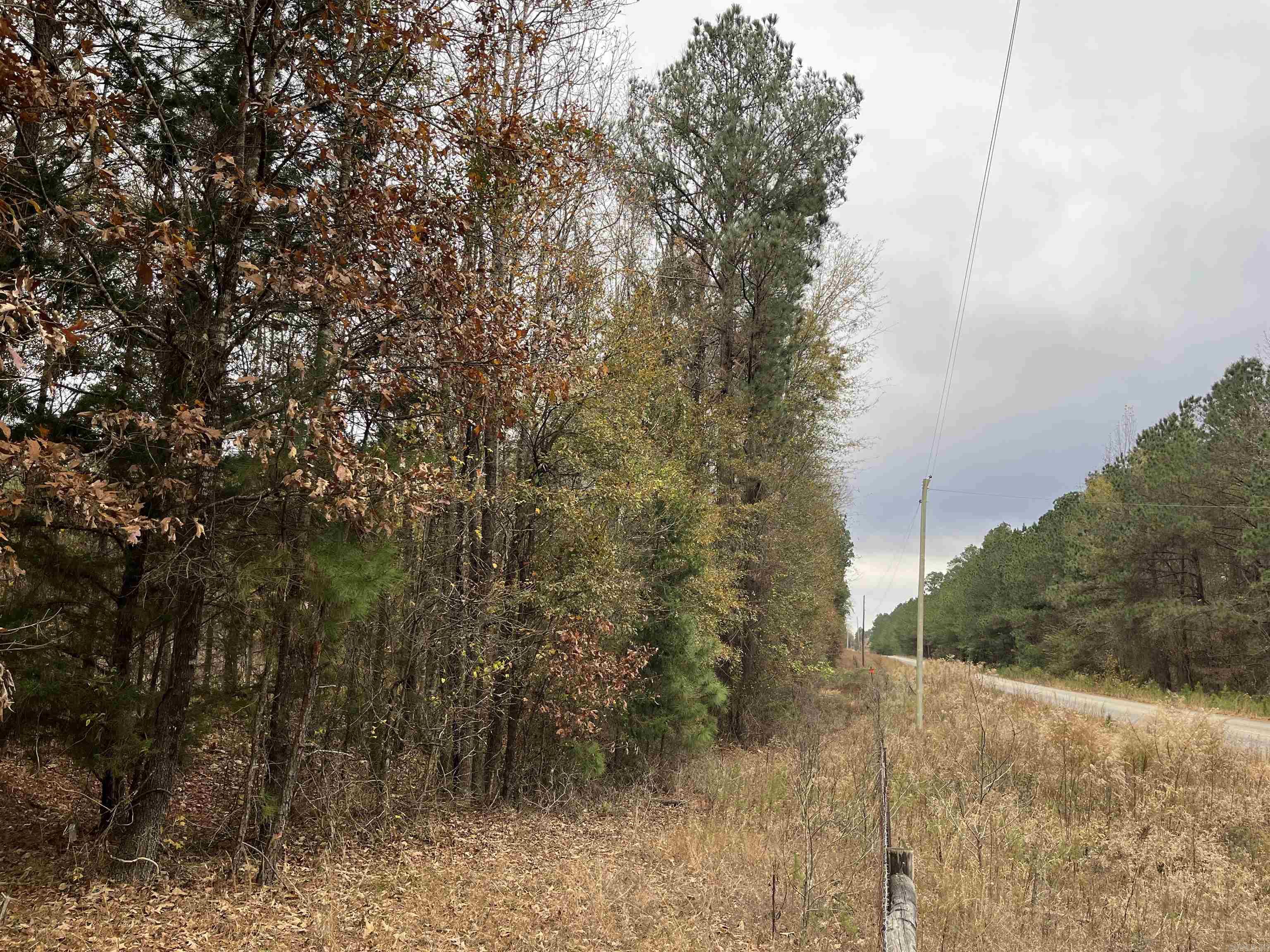 12,14-15-21  Nevada CR 168  Lamartine, AR