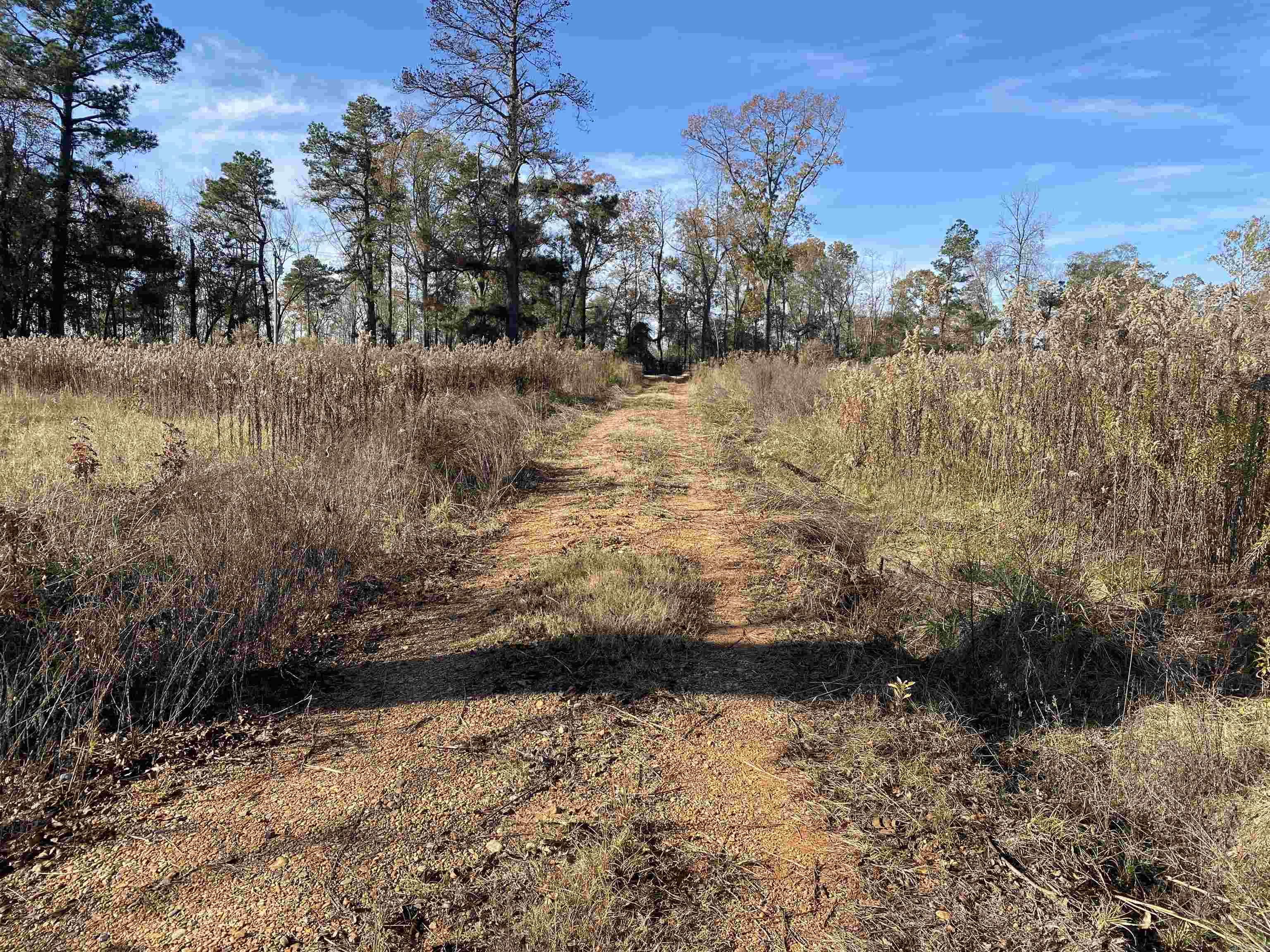 5524 W Hwy 8  Arkadelphia, AR