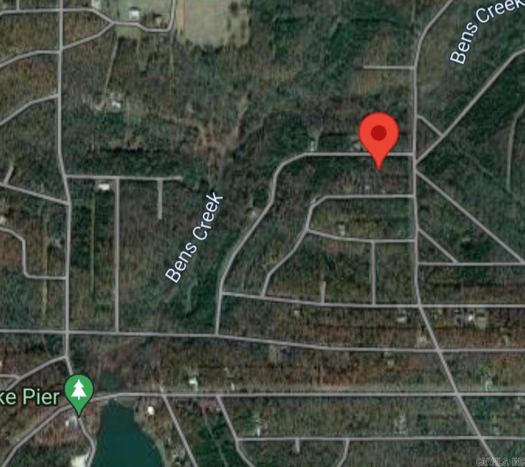 1005  Pinoochio  Horseshoe Bend, AR