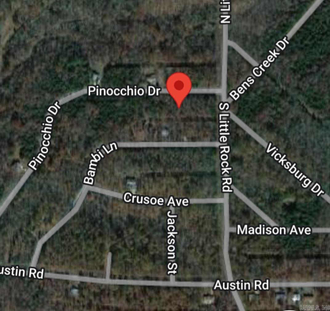 1005  Pinoochio  Horseshoe Bend, AR