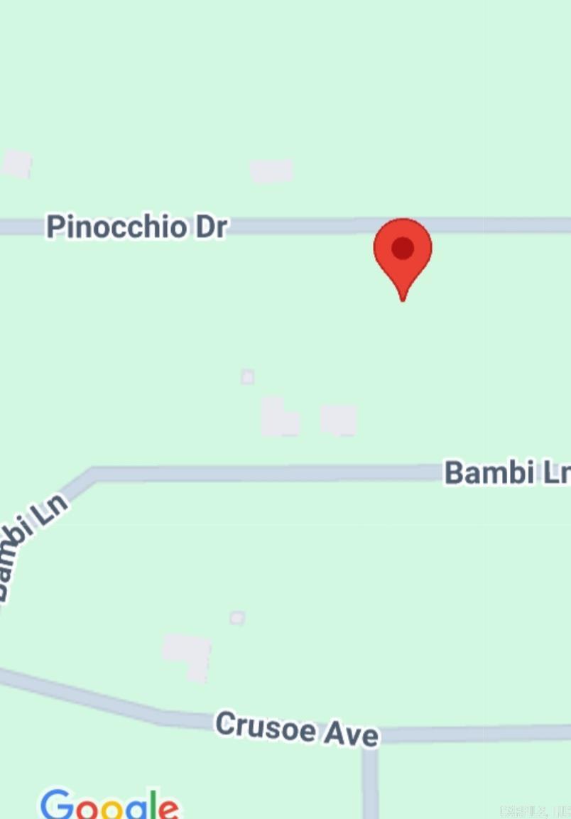1005  Pinoochio  Horseshoe Bend, AR