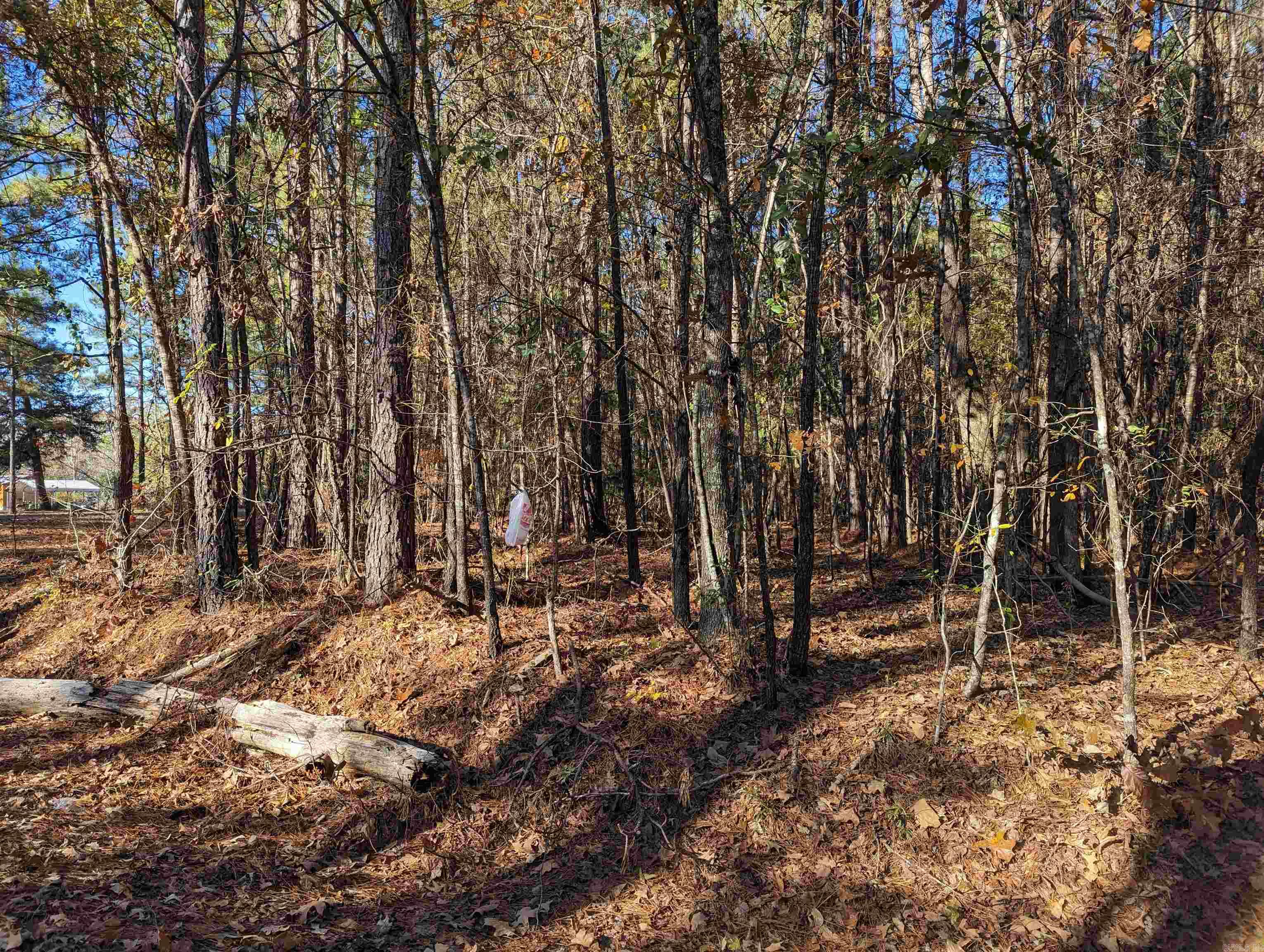   Ouachita 387  Camden, AR