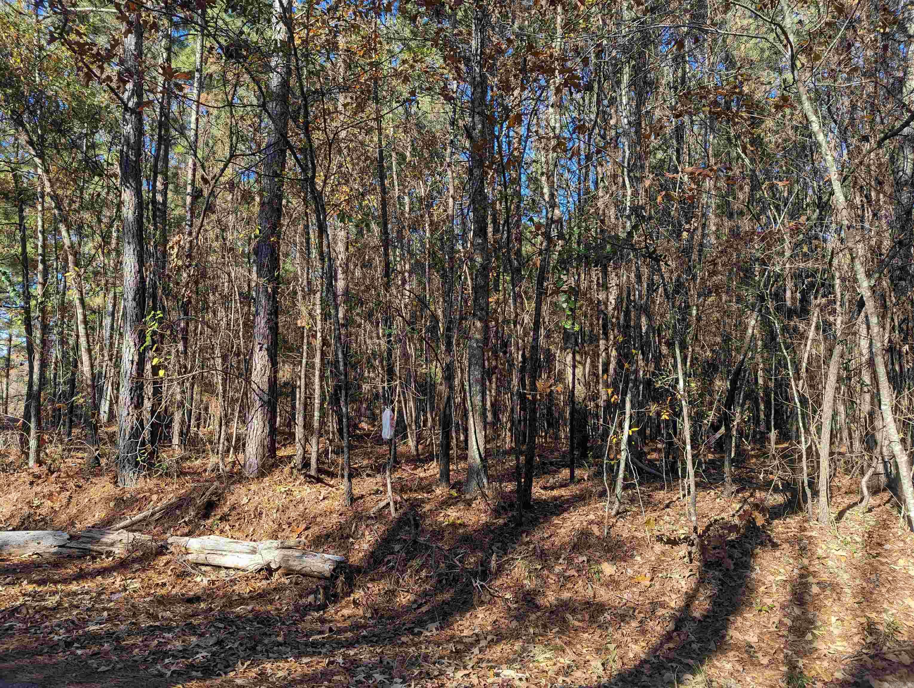   Ouachita 387  Camden, AR