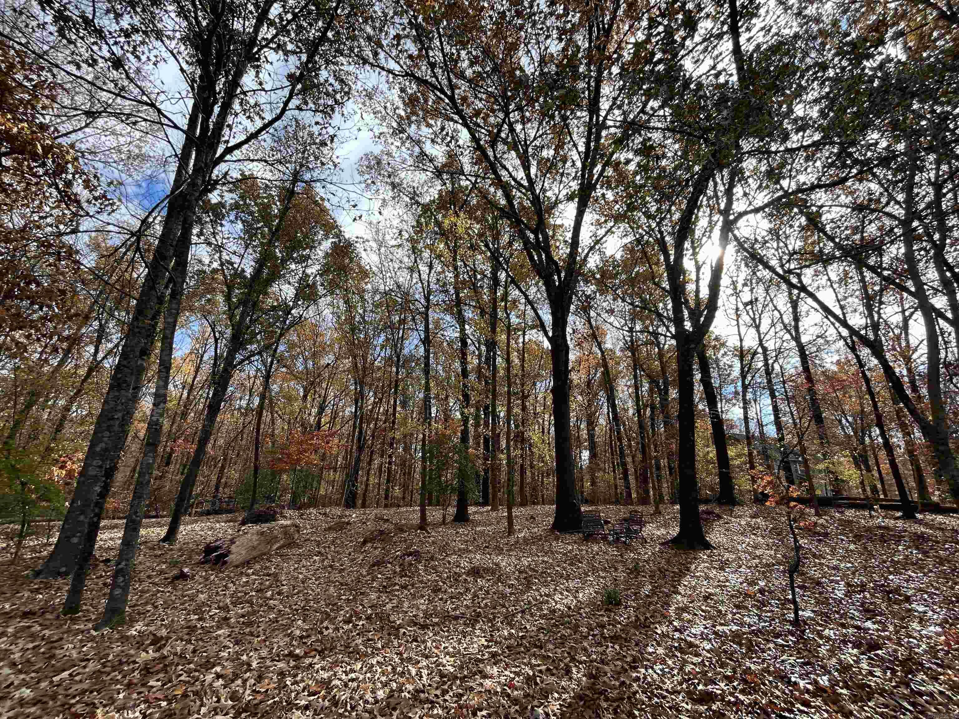   County Rd 308  Forrest City, AR