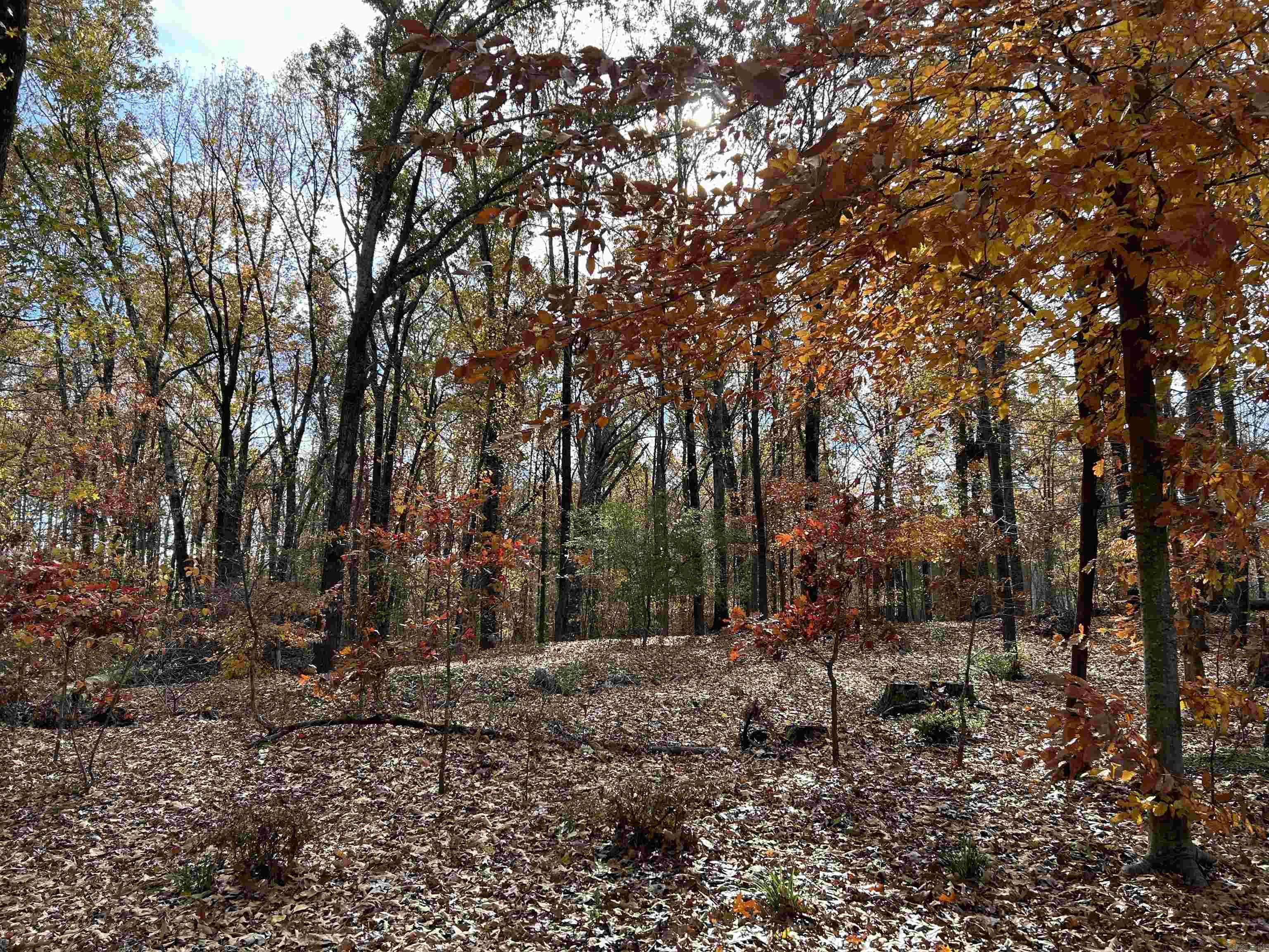   County Rd 308  Forrest City, AR