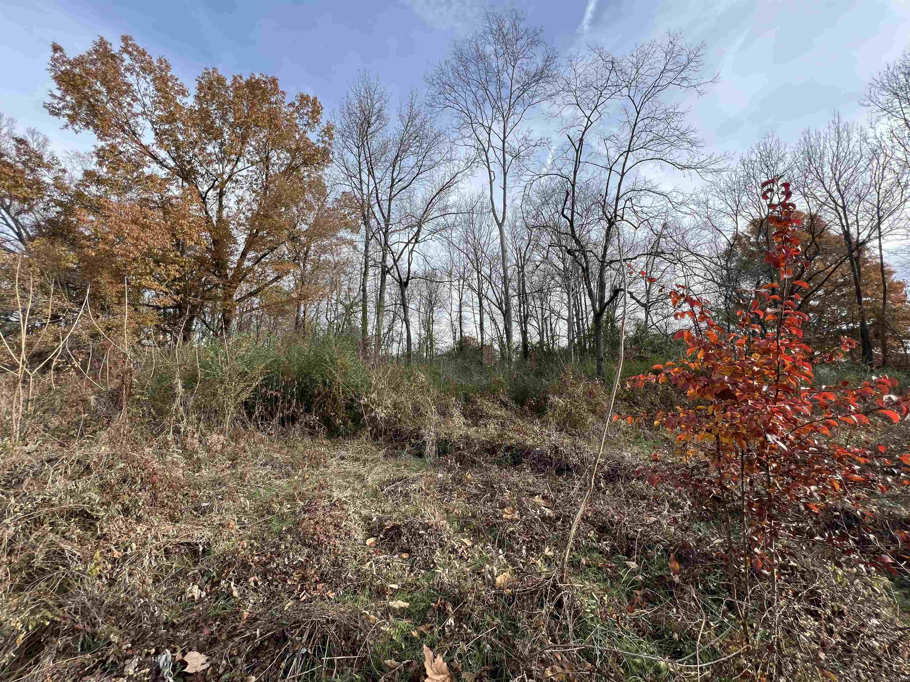 000  Highway 367  Bald Knob, AR
