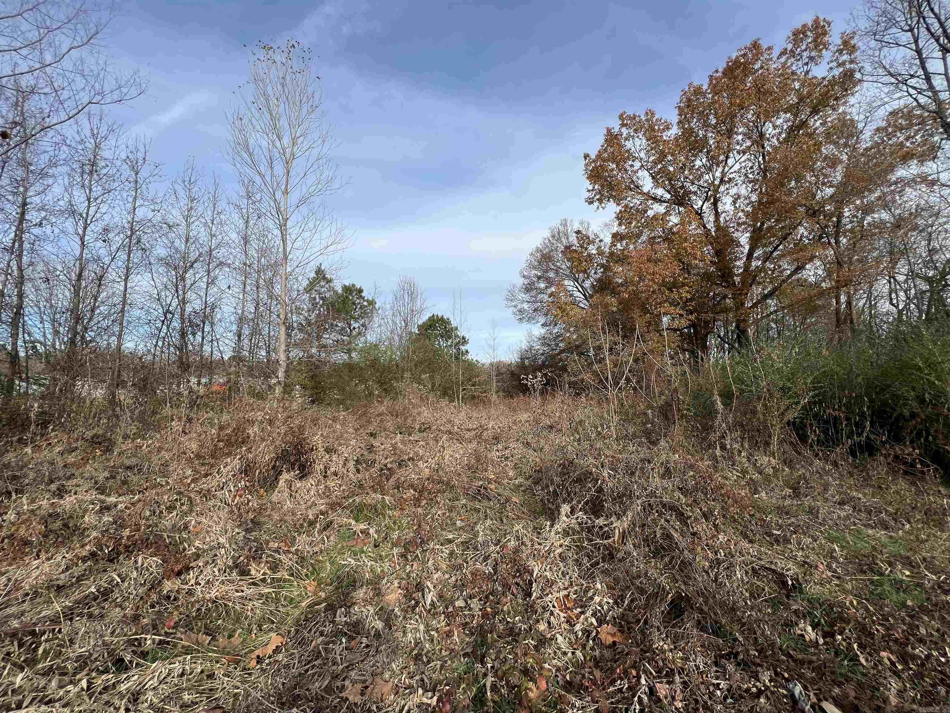 000  Highway 367  Bald Knob, AR