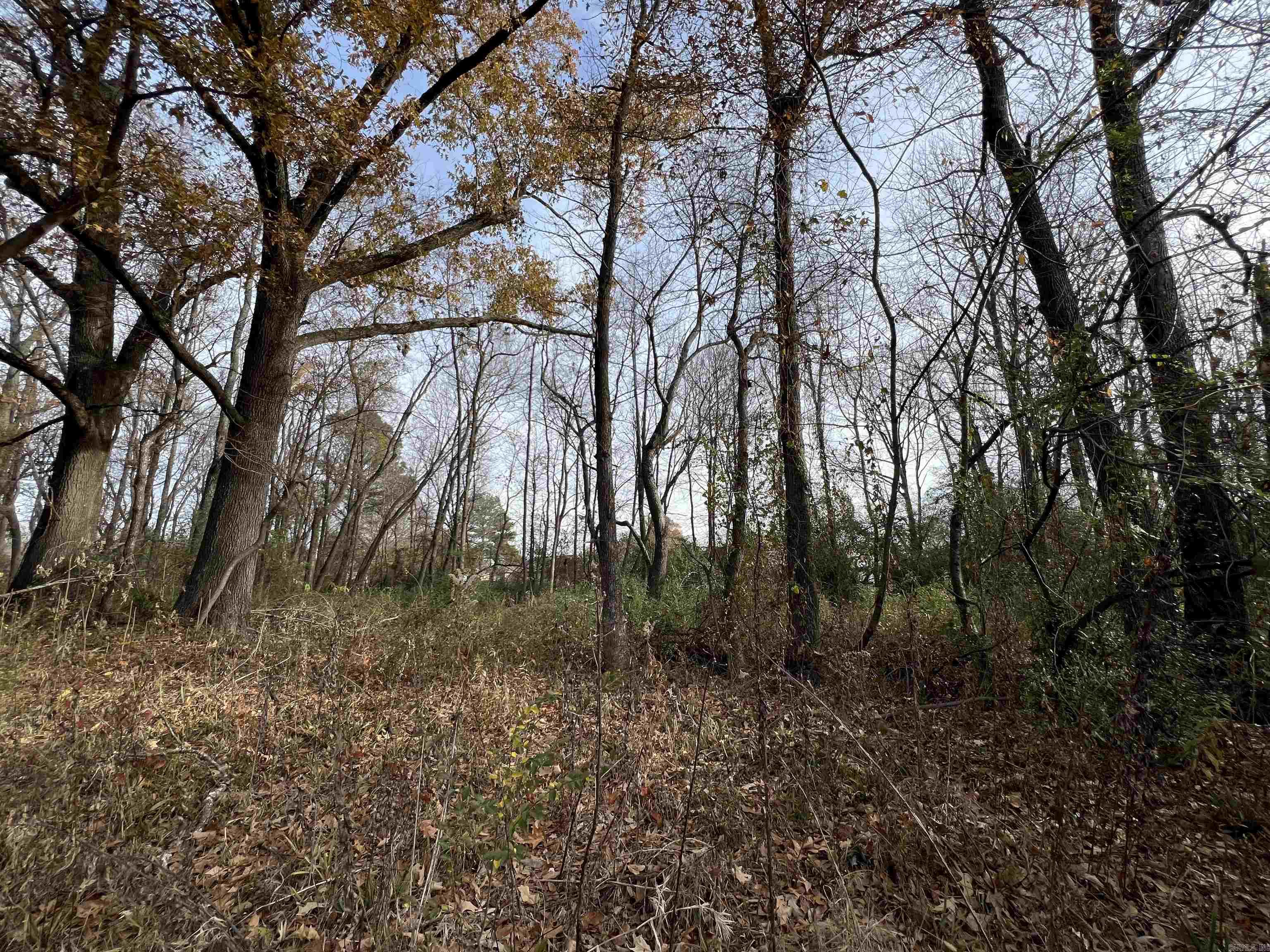 000  Highway 367  Bald Knob, AR