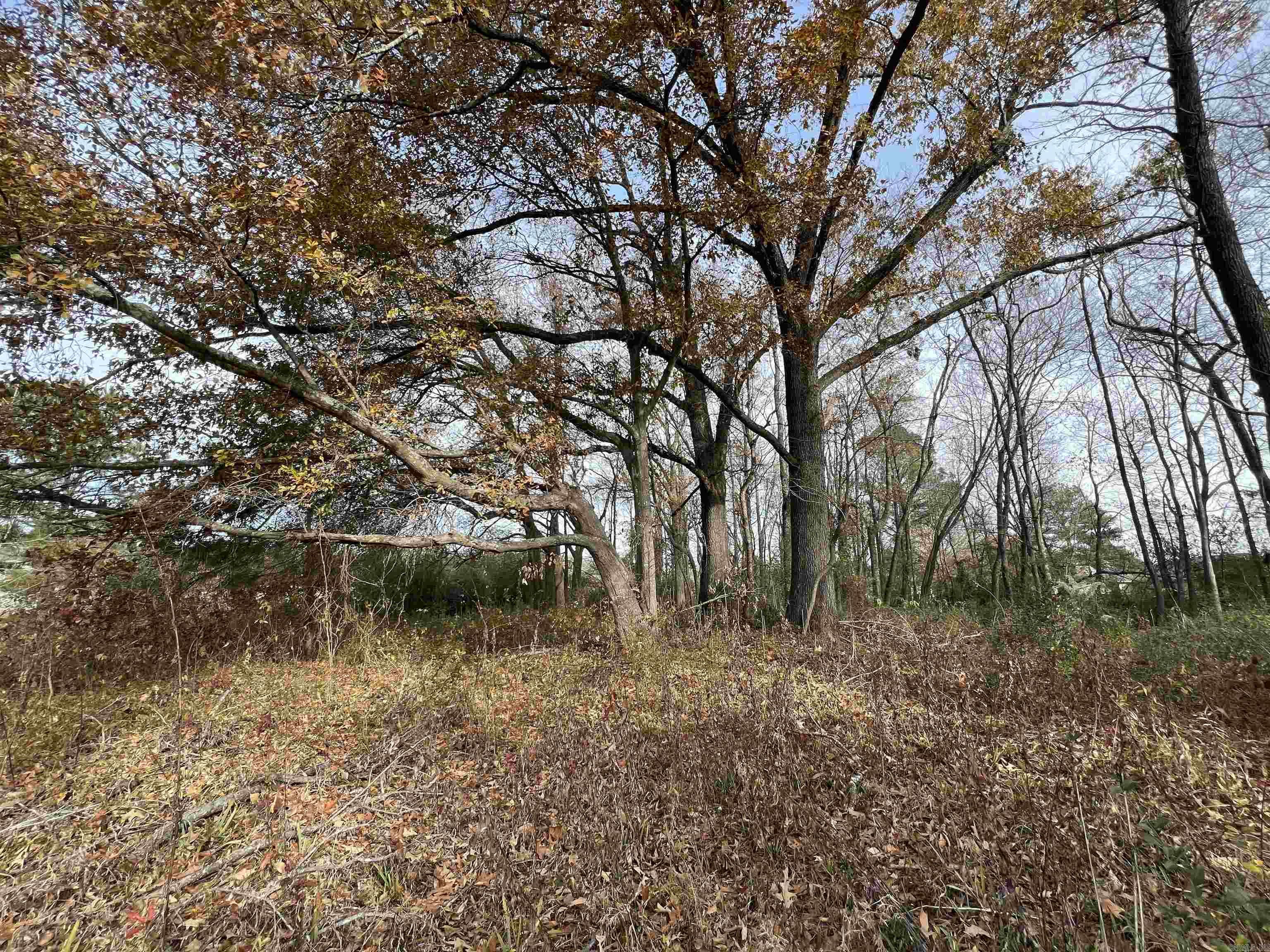 000  Highway 367  Bald Knob, AR