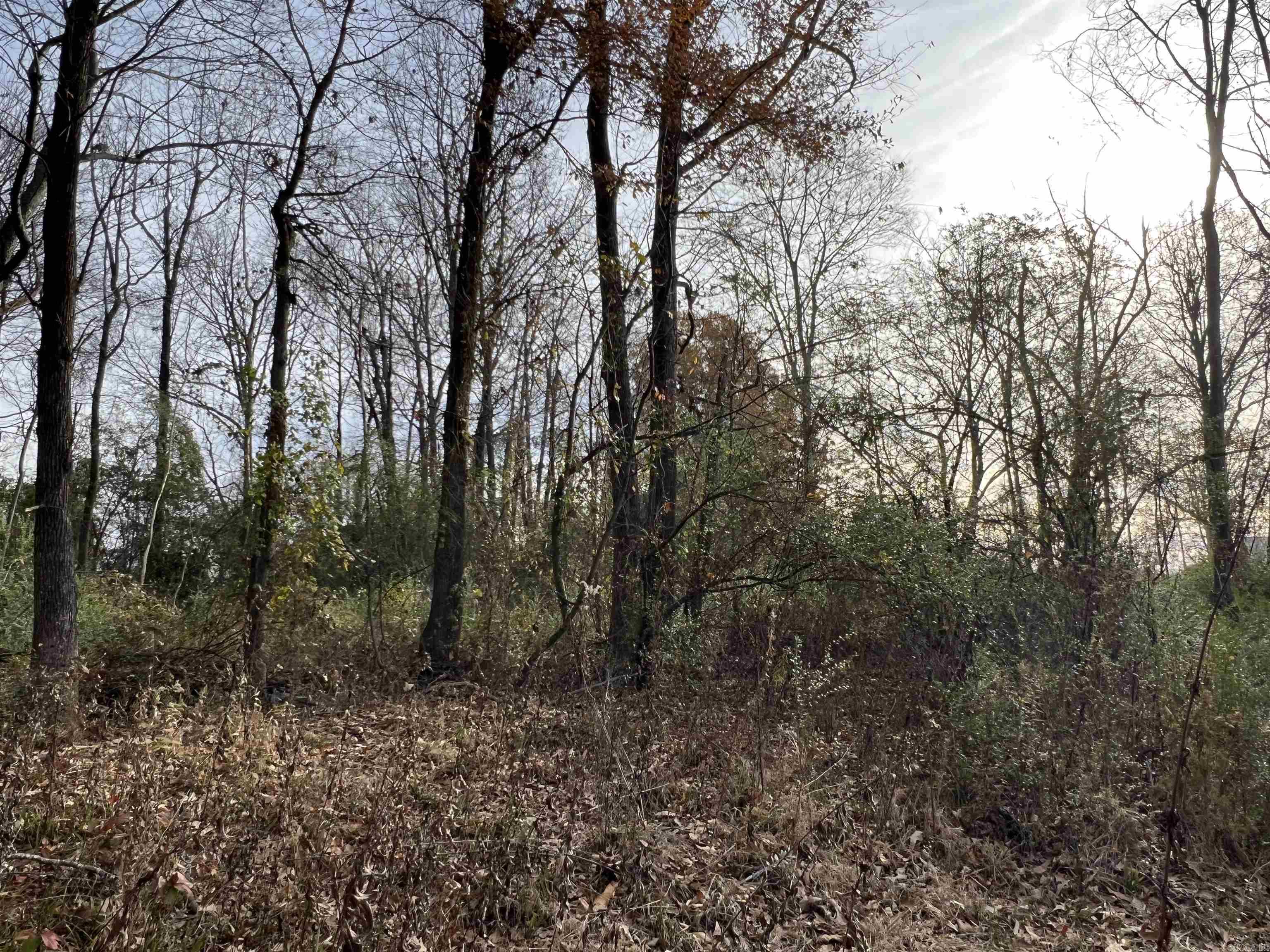 000  Highway 367  Bald Knob, AR
