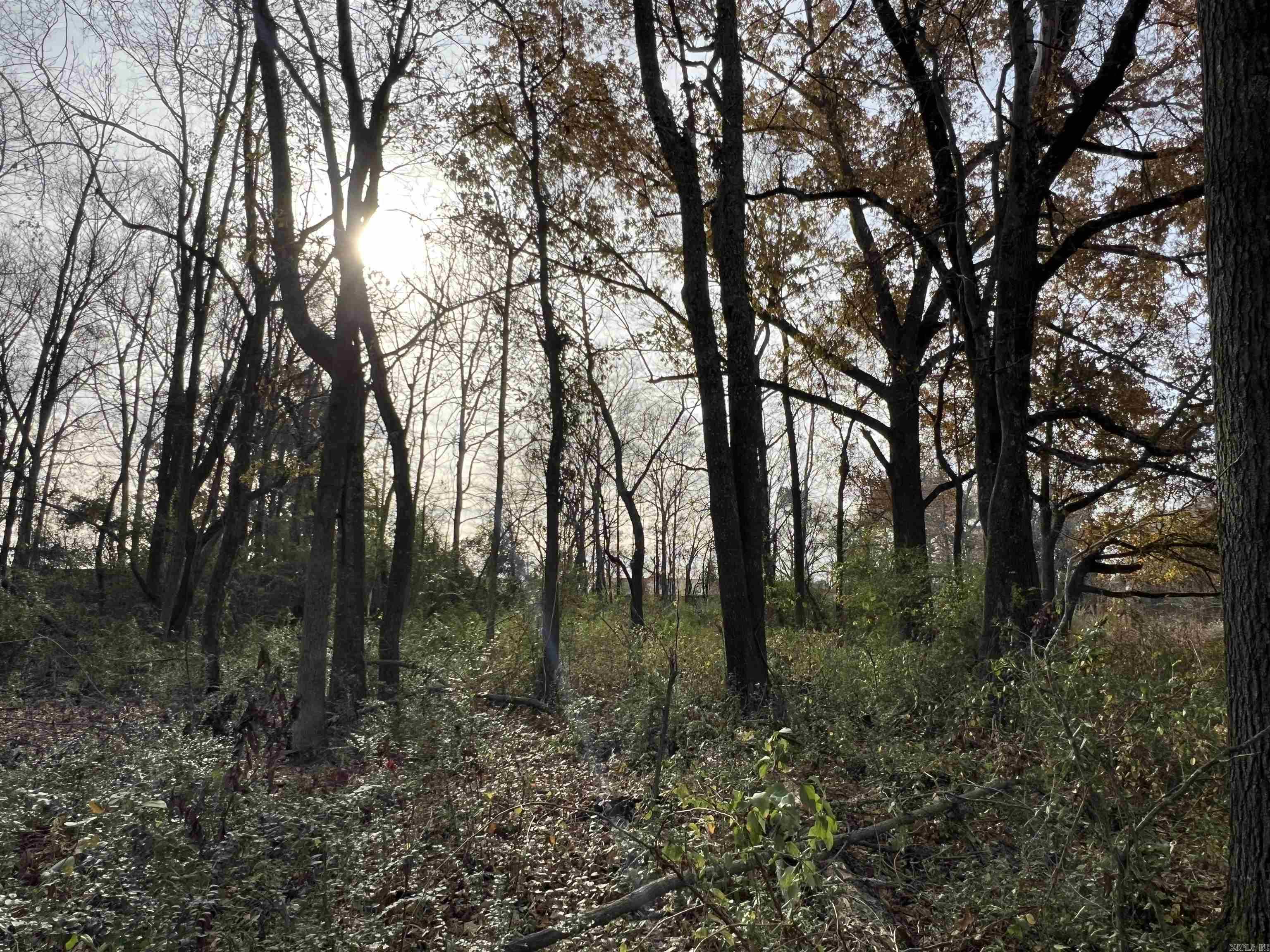 000  Highway 367  Bald Knob, AR