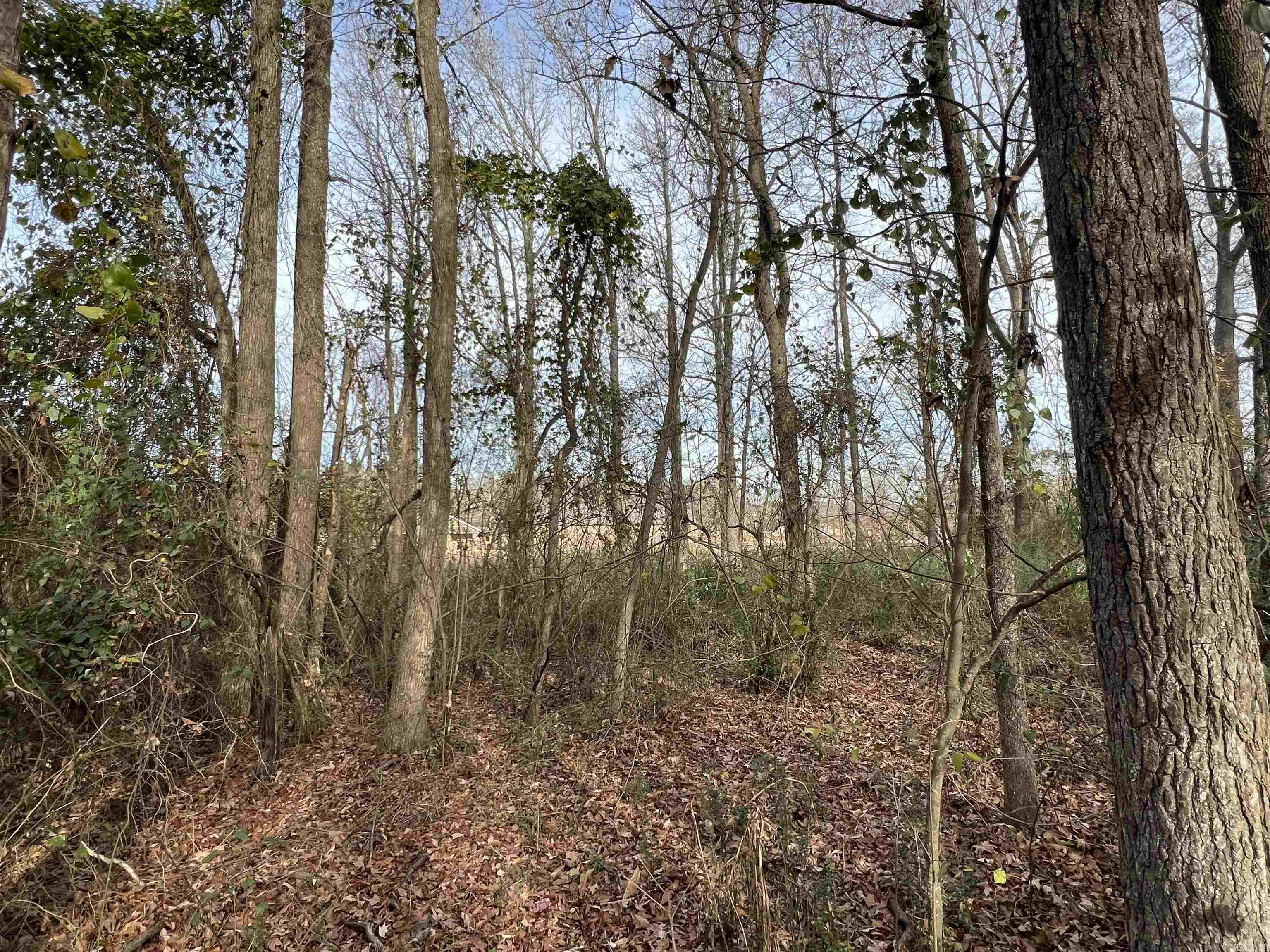 000  Highway 367  Bald Knob, AR