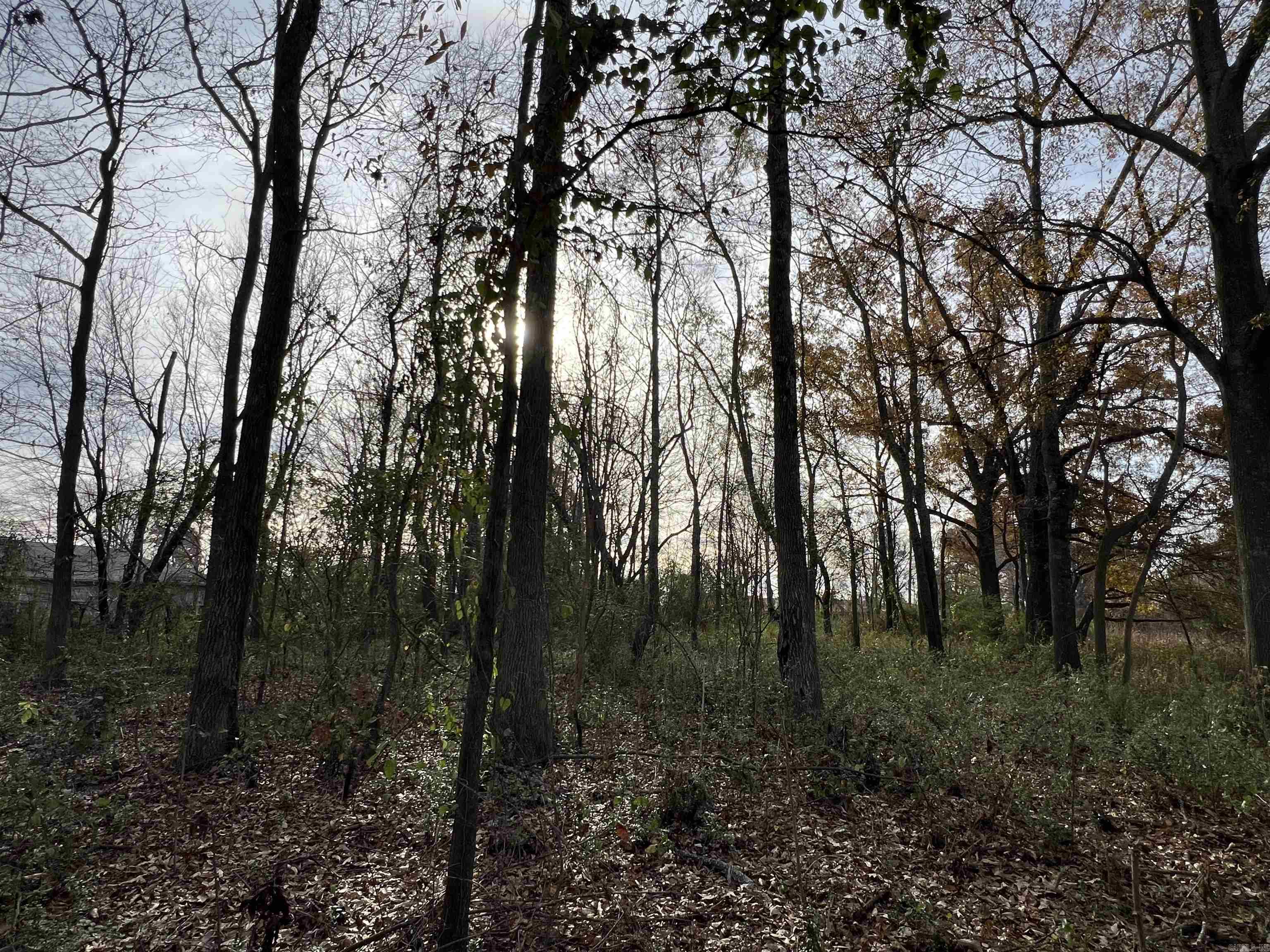 000  Highway 367  Bald Knob, AR