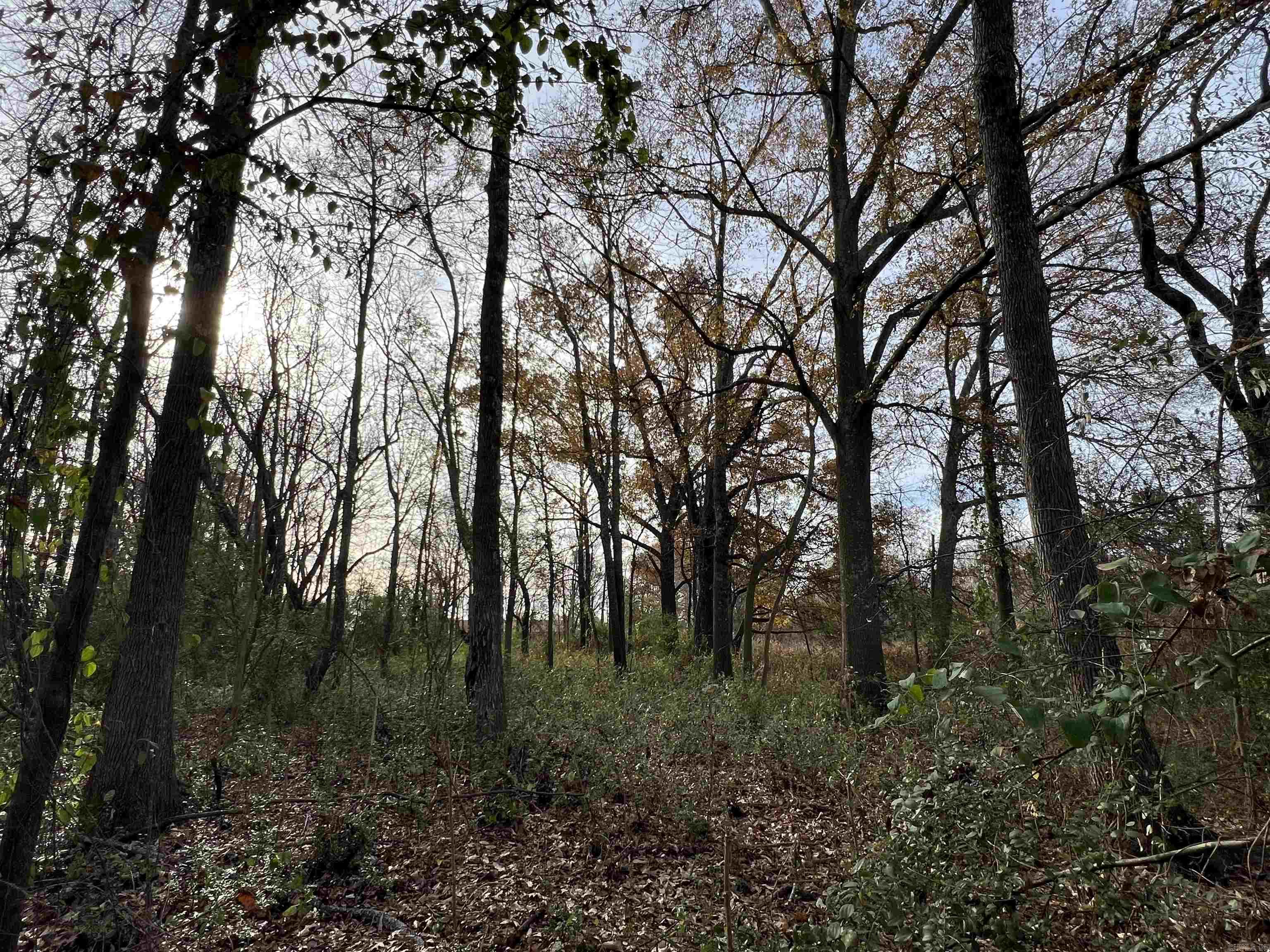 000  Highway 367  Bald Knob, AR