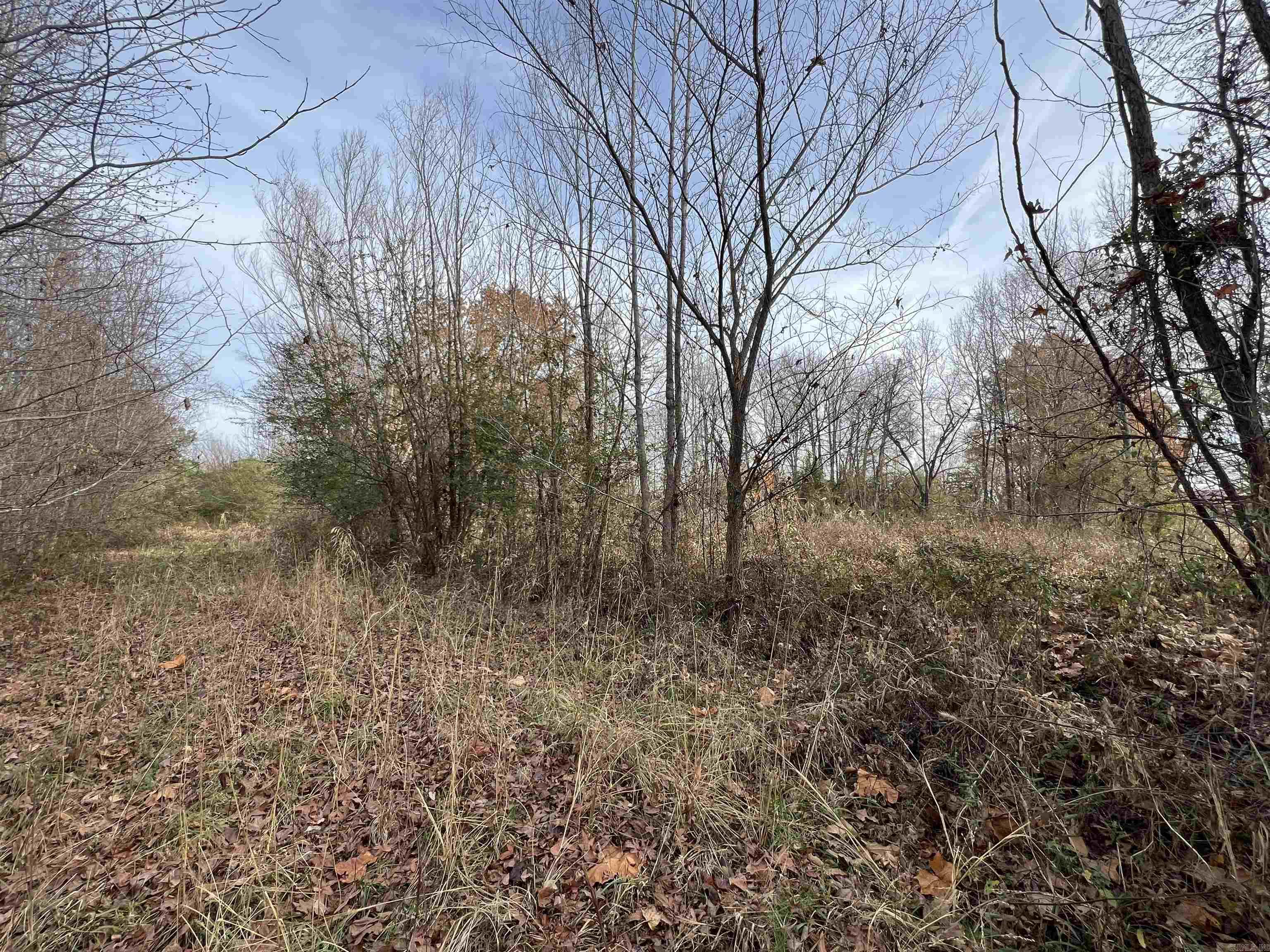 000  Highway 367  Bald Knob, AR