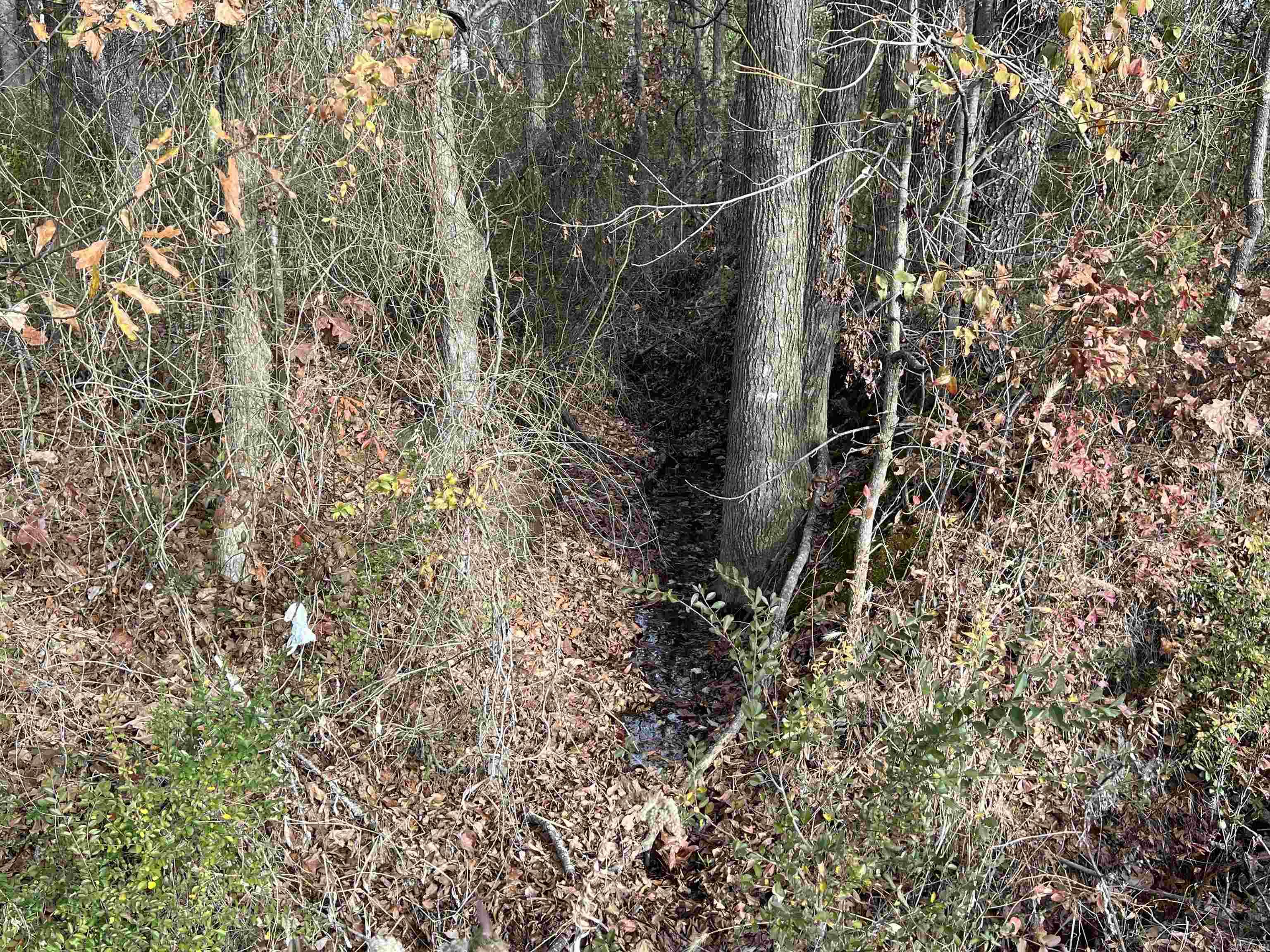 000  Highway 367  Bald Knob, AR