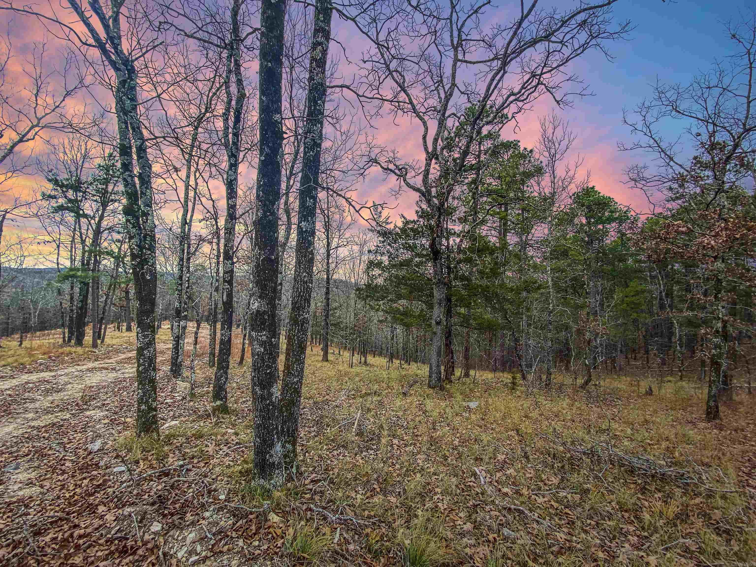 000  Shorthorn  Hot Springs, AR