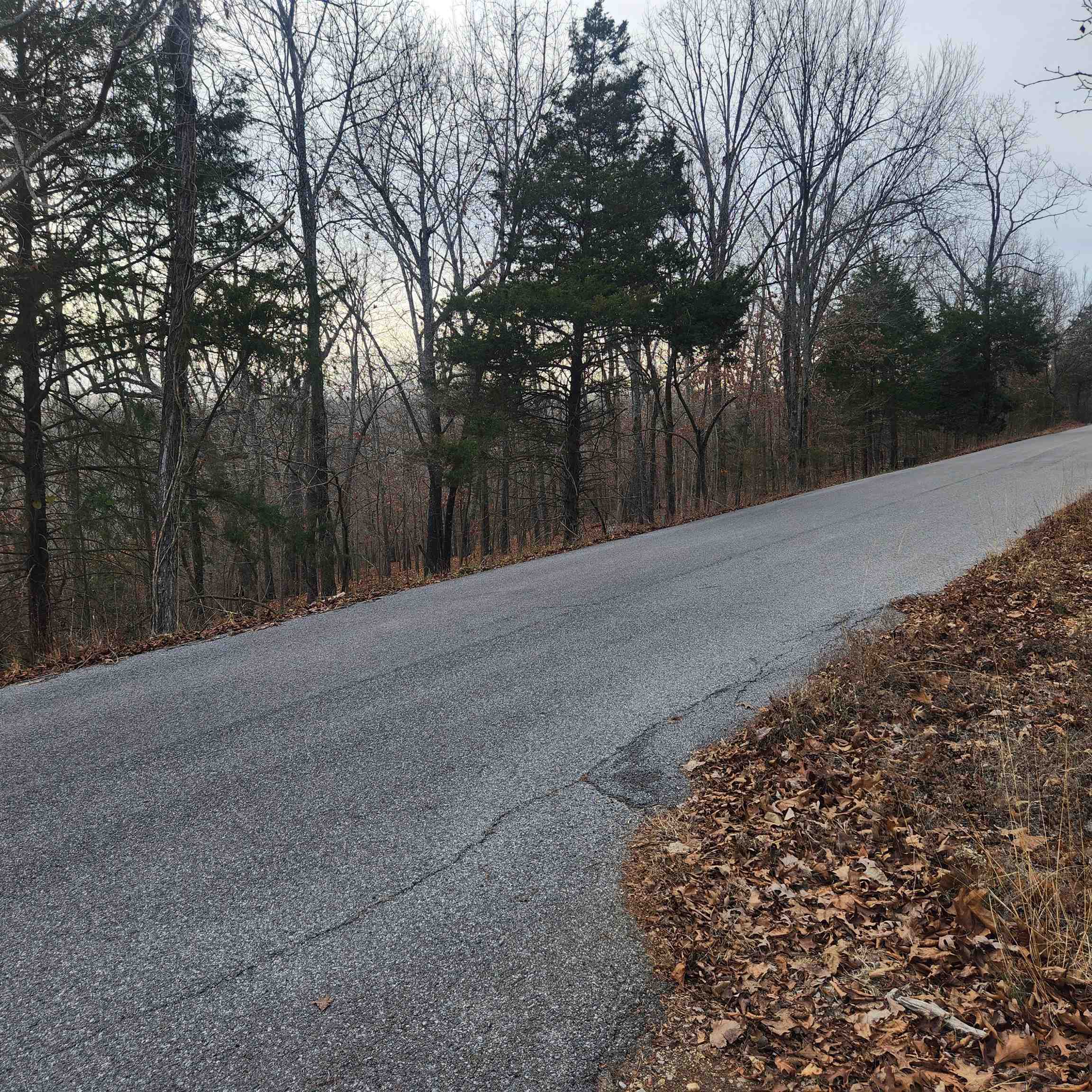 307-403  Alexander Lot's 45-48 Crown View Horseshoe Bend, AR