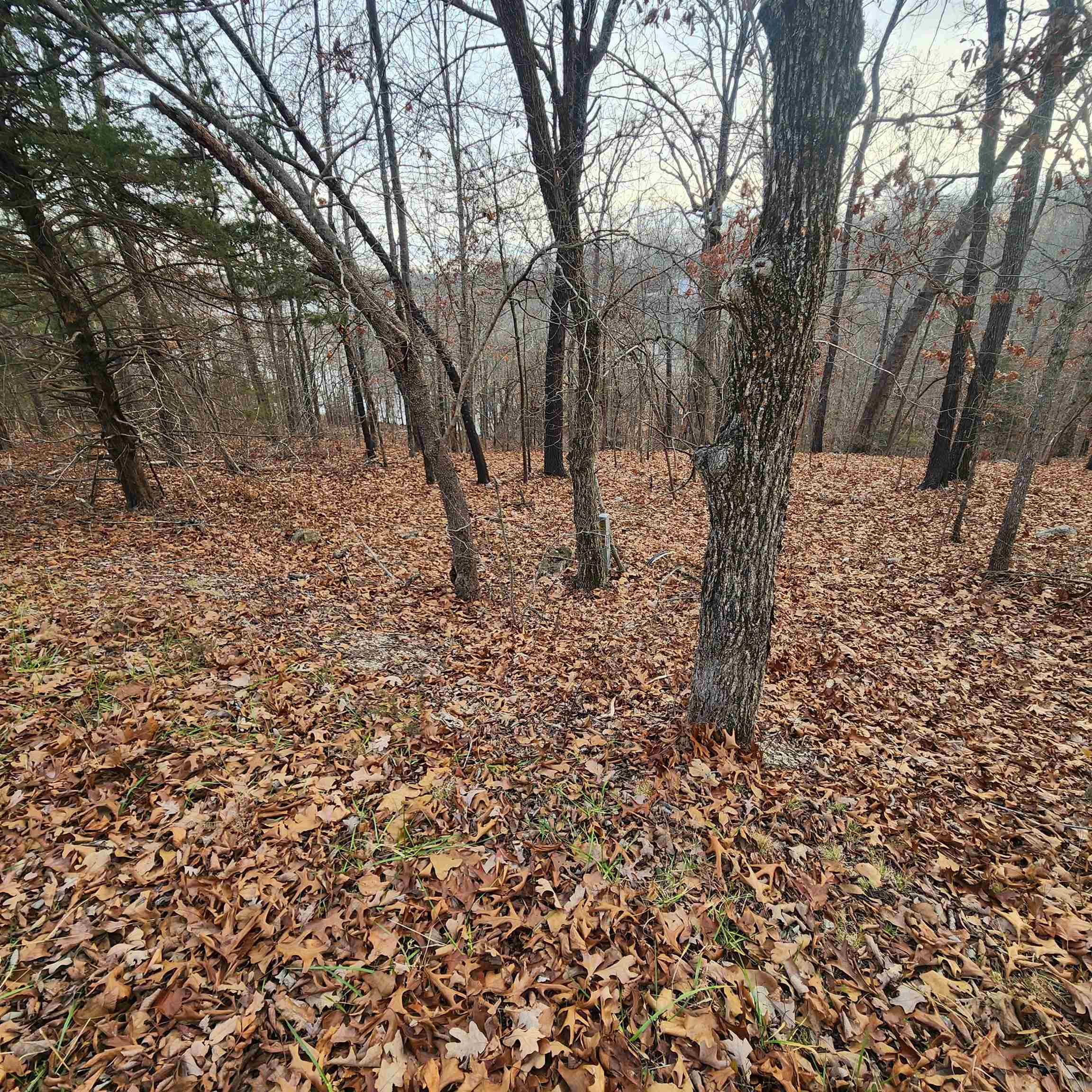307-403  Alexander Lot's 45-48 Crown View Horseshoe Bend, AR