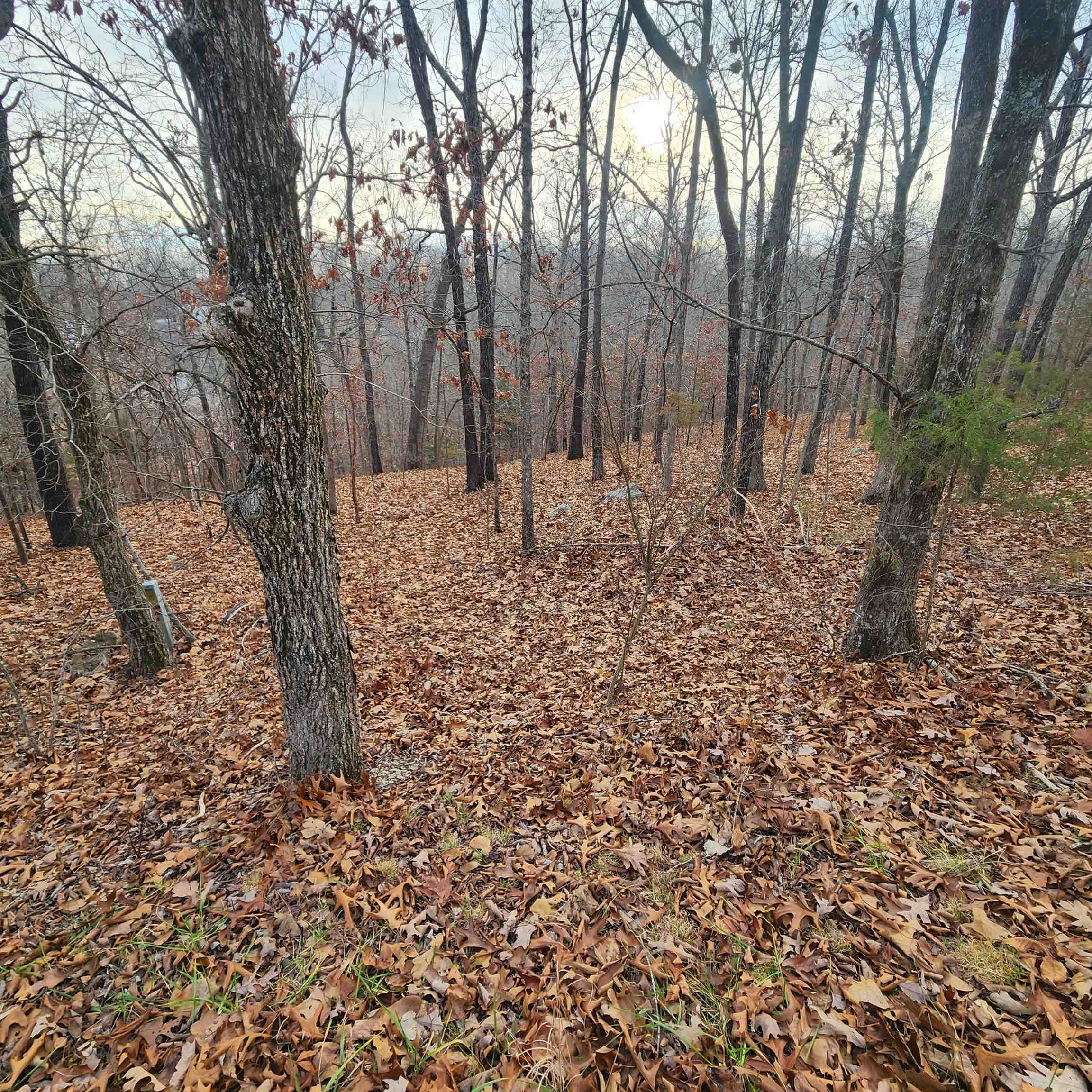 307-403  Alexander Lot's 45-48 Crown View Horseshoe Bend, AR