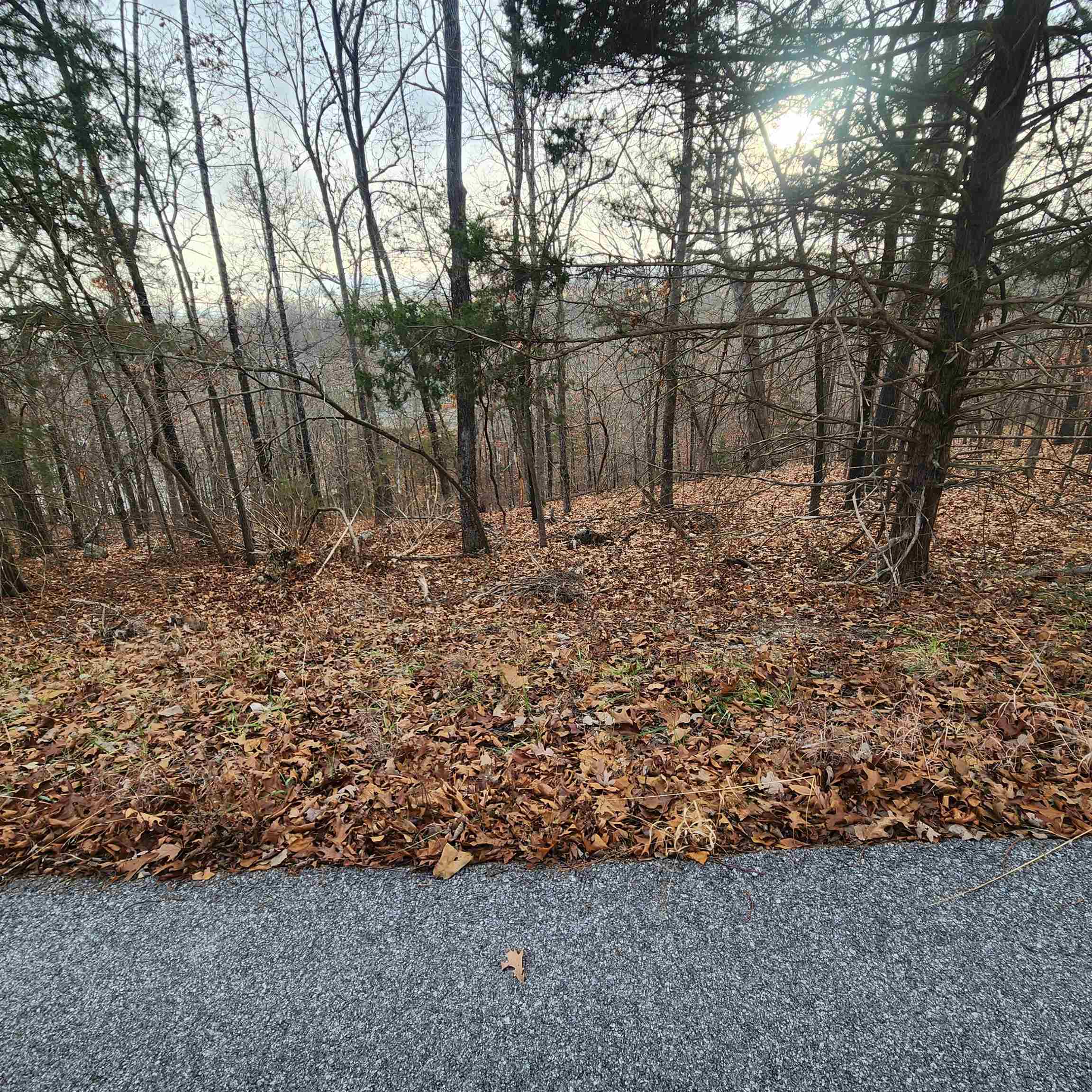 307-403  Alexander Lot's 45-48 Crown View Horseshoe Bend, AR