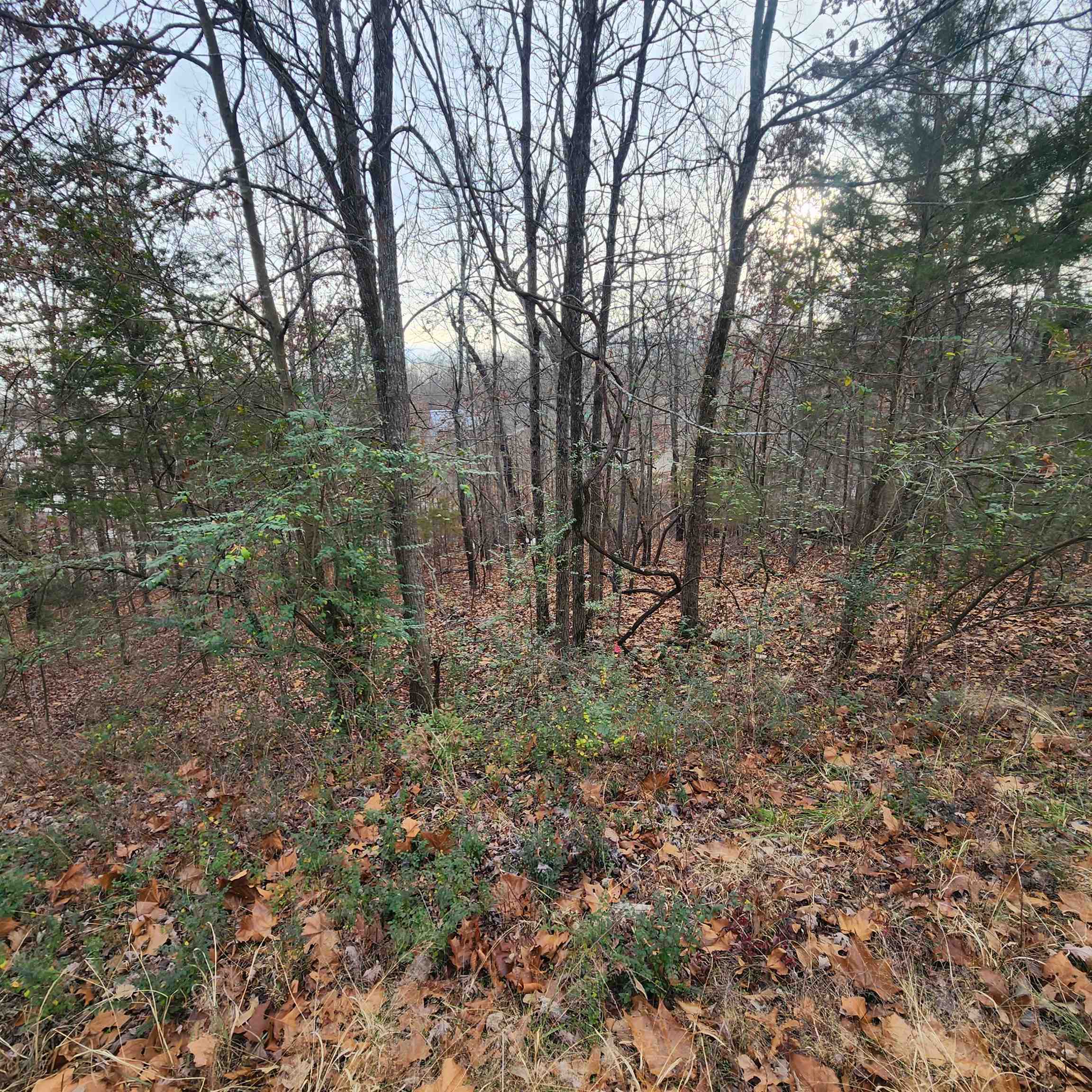 307-403  Alexander Lot's 45-48 Crown View Horseshoe Bend, AR