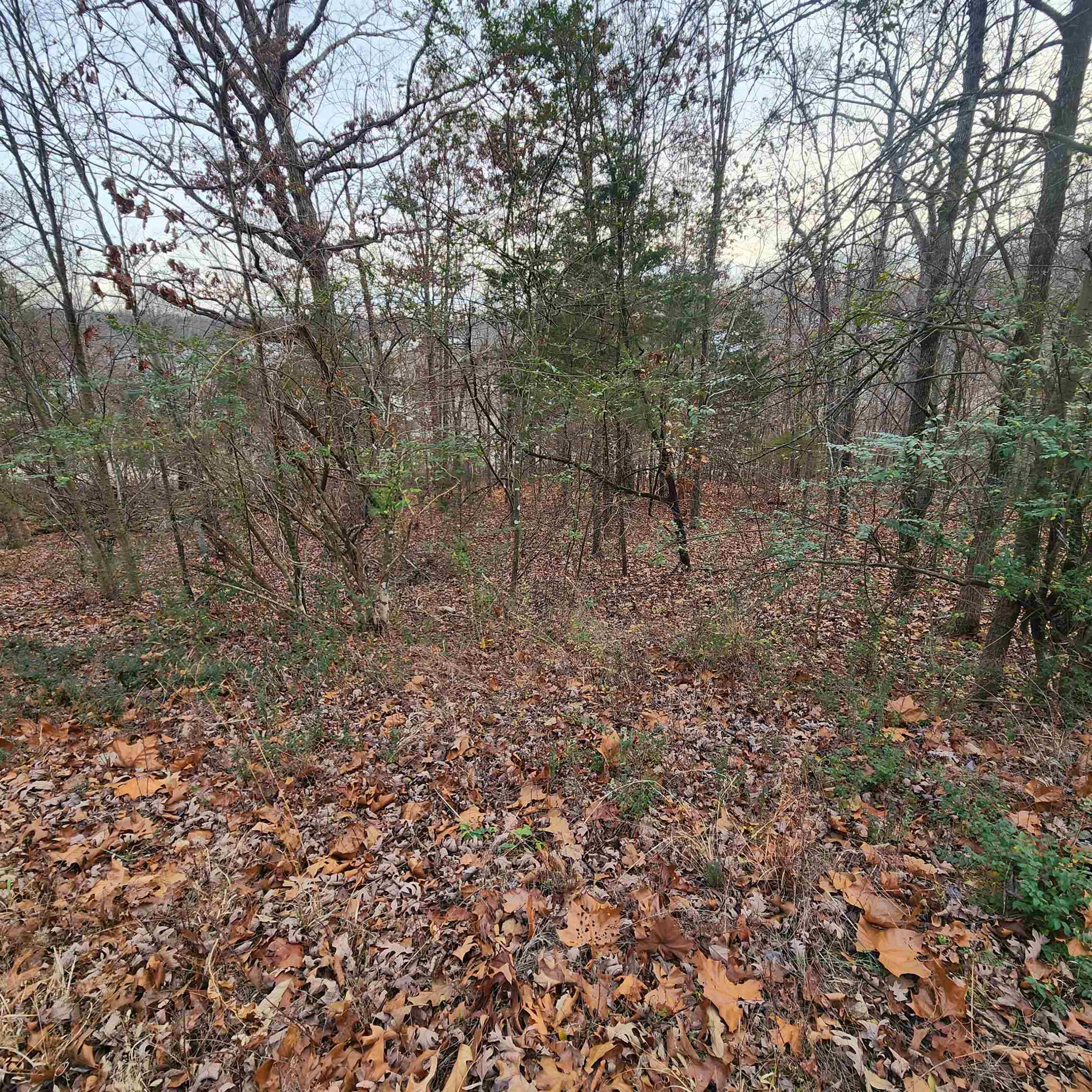 307-403  Alexander Lot's 45-48 Crown View Horseshoe Bend, AR