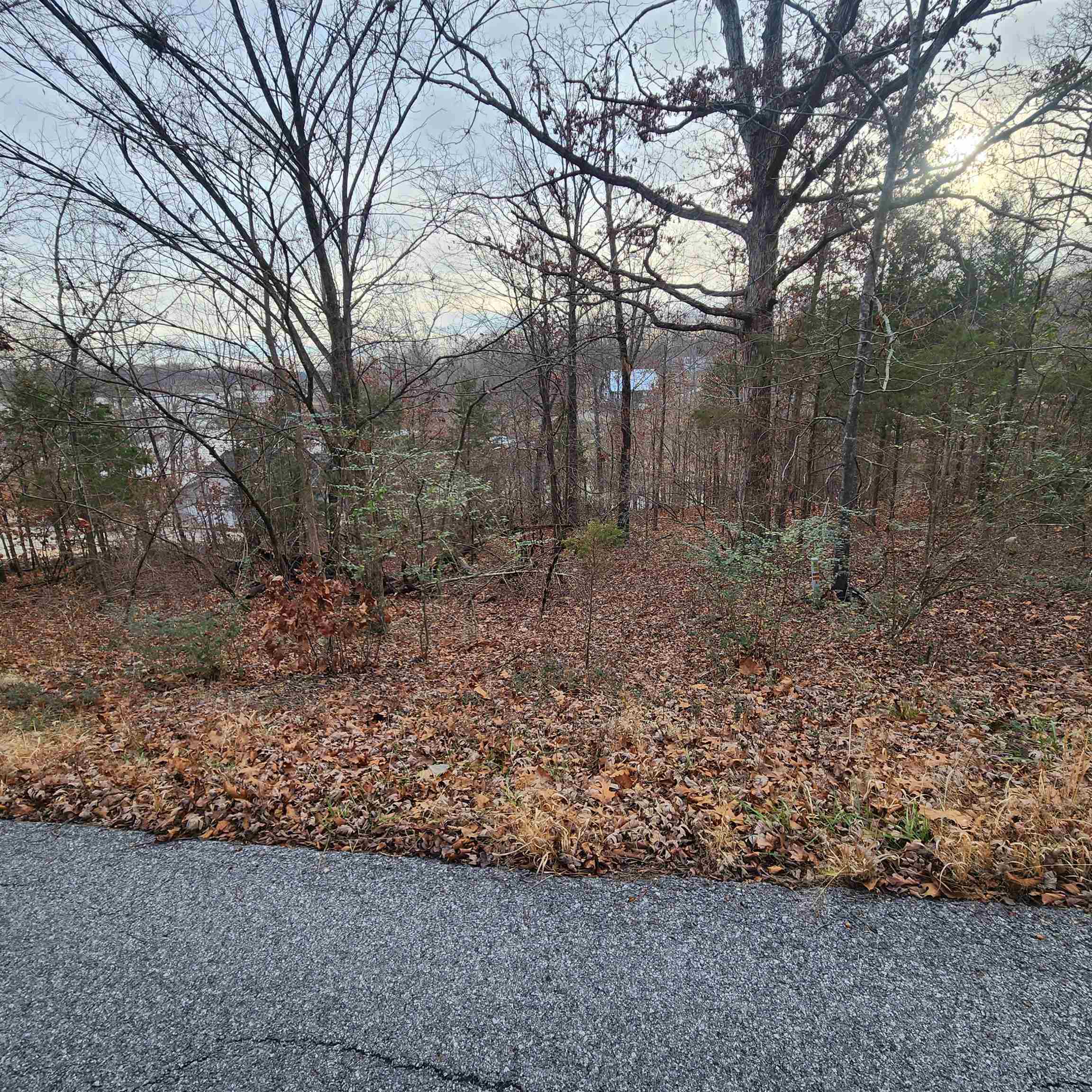 307-403  Alexander Lot's 45-48 Crown View Horseshoe Bend, AR