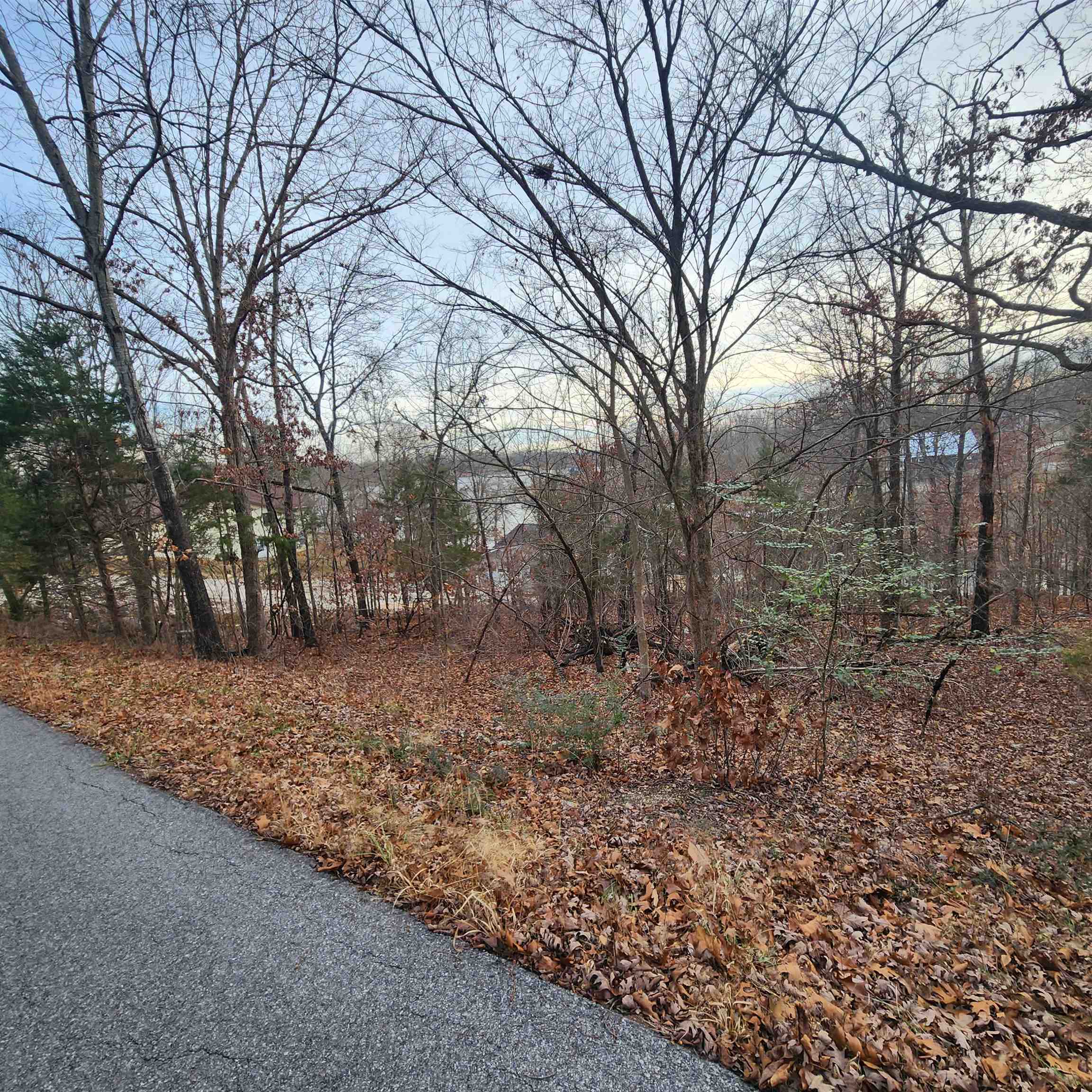 307-403  Alexander Lot's 45-48 Crown View Horseshoe Bend, AR