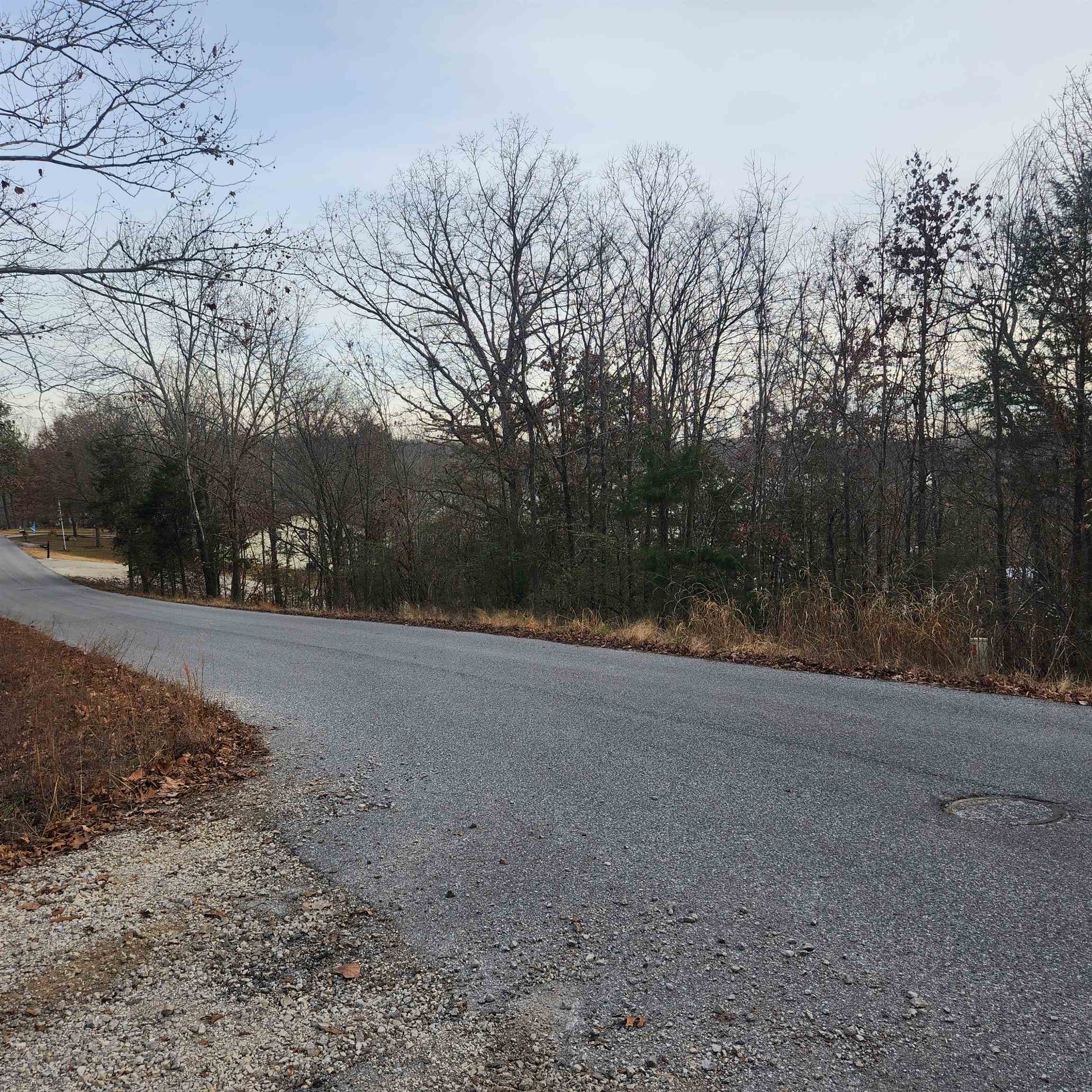 307-403  Alexander Lot's 45-48 Crown View Horseshoe Bend, AR