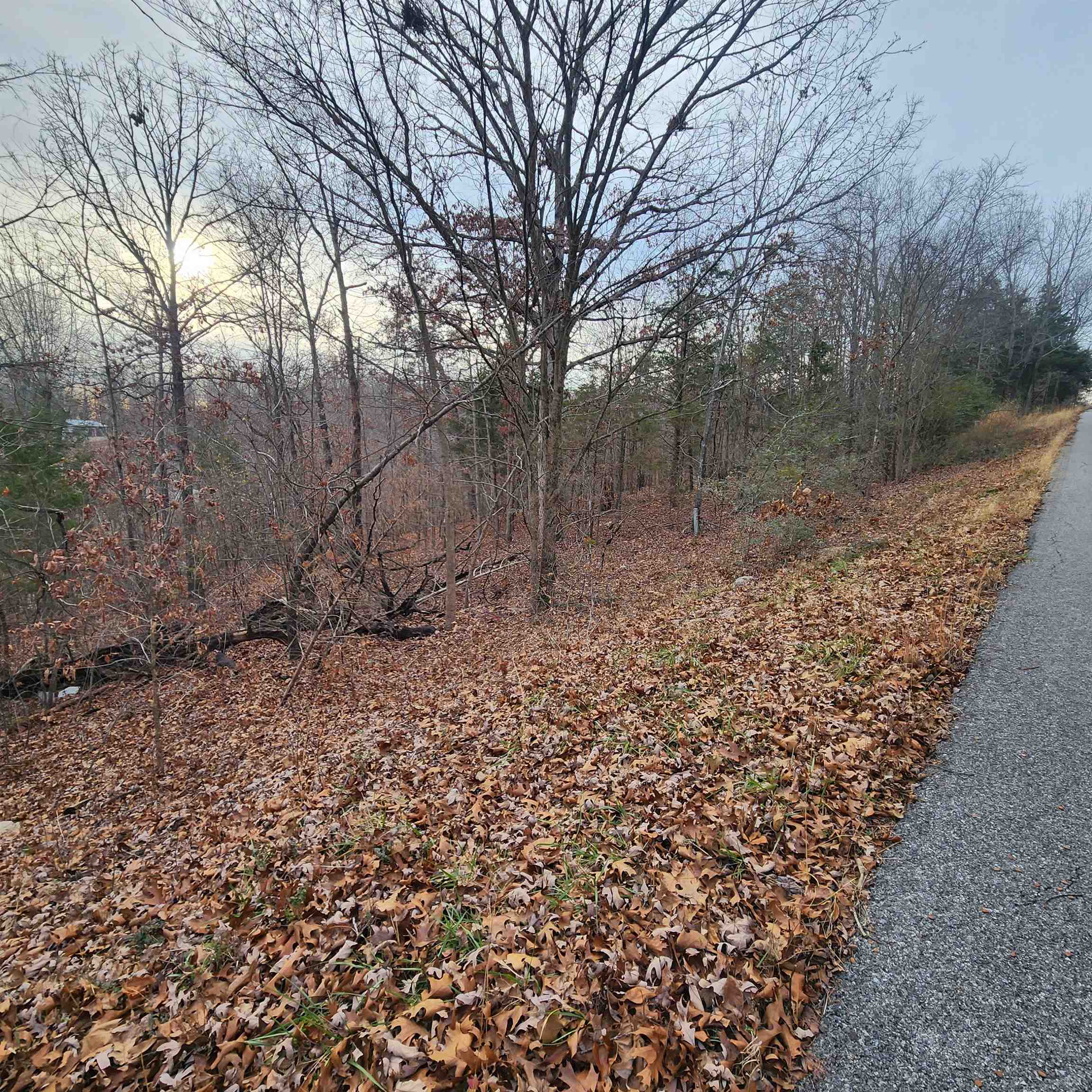 307-403  Alexander Lot's 45-48 Crown View Horseshoe Bend, AR