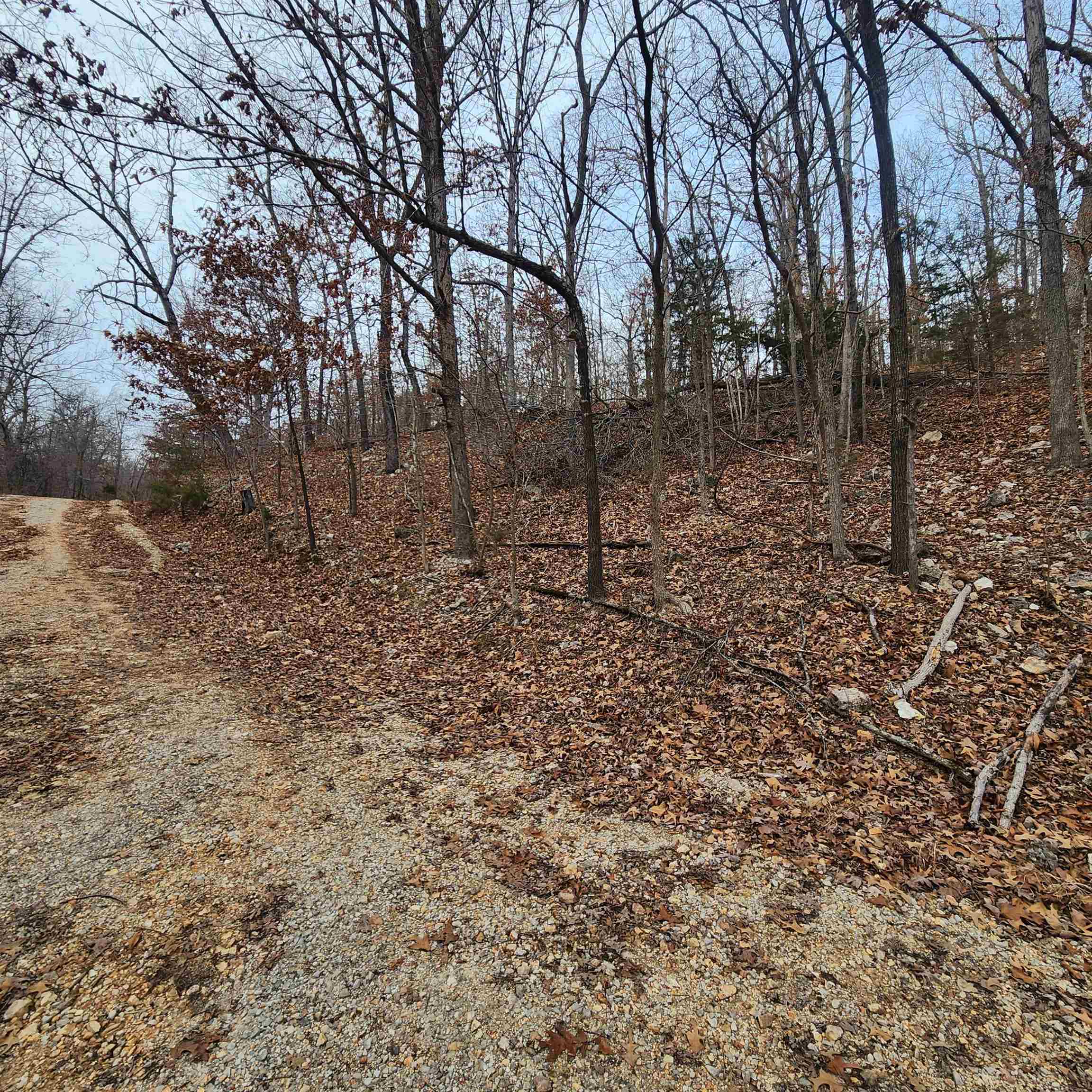 307-403  Alexander Lot's 45-48 Crown View Horseshoe Bend, AR