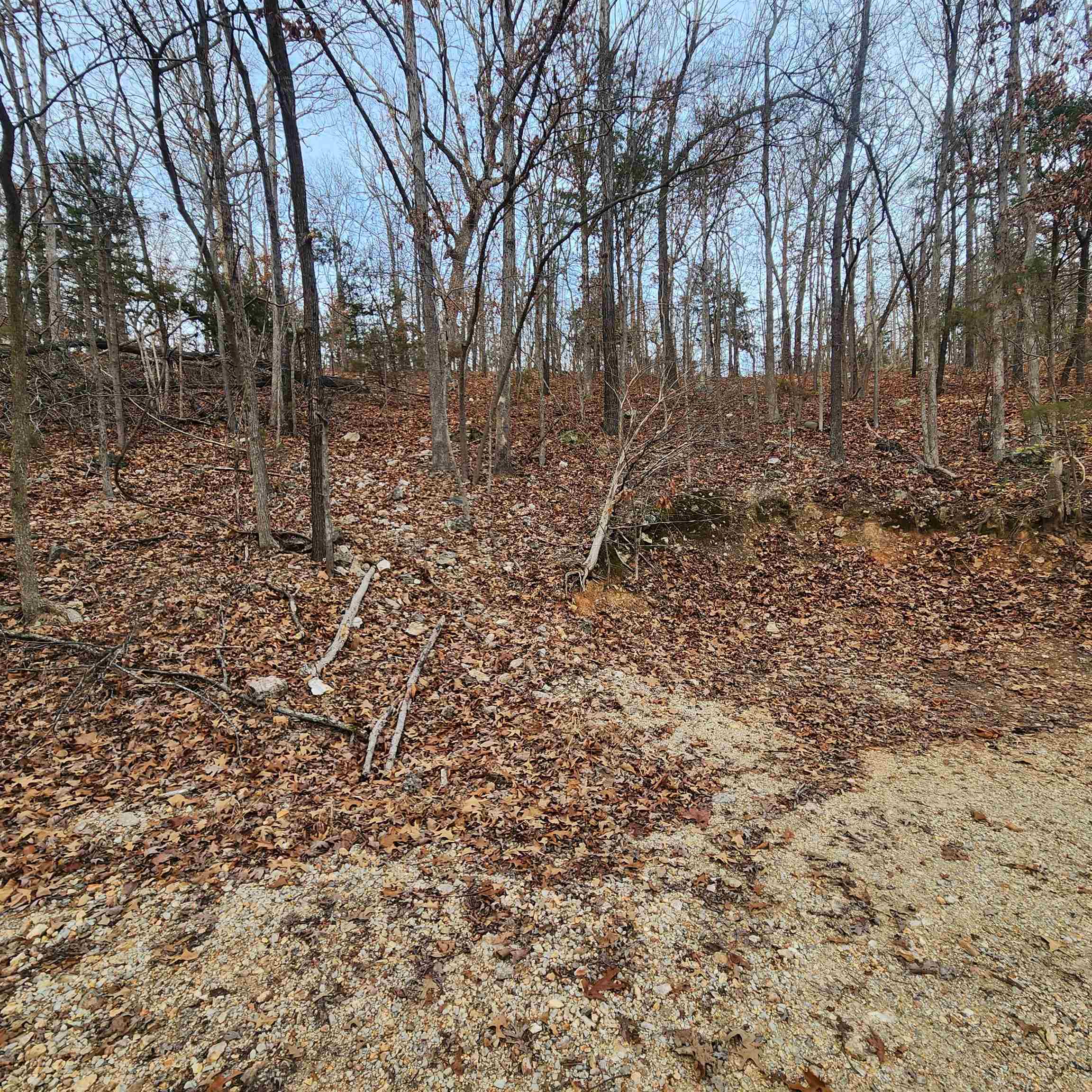 307-403  Alexander Lot's 45-48 Crown View Horseshoe Bend, AR