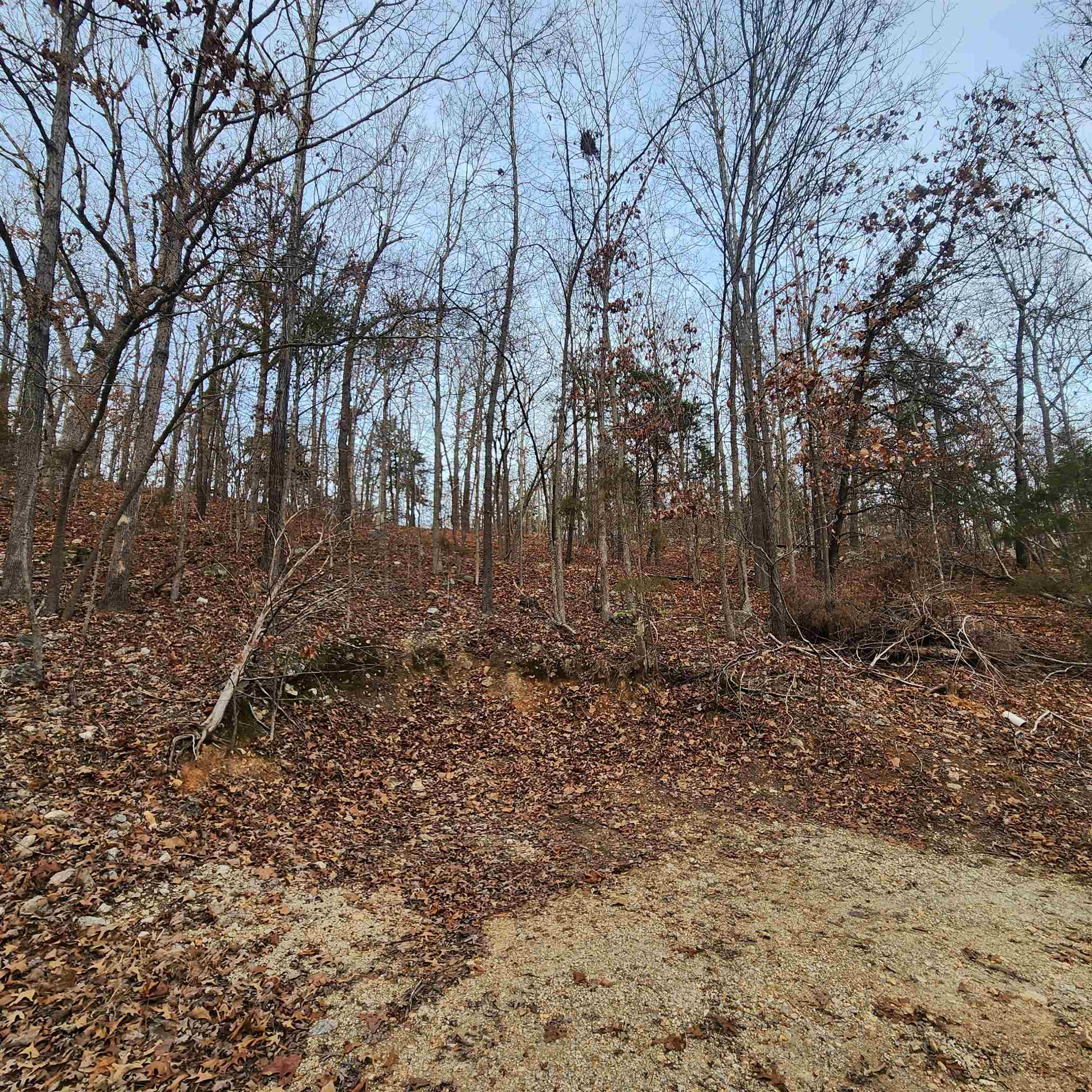 307-403  Alexander Lot's 45-48 Crown View Horseshoe Bend, AR