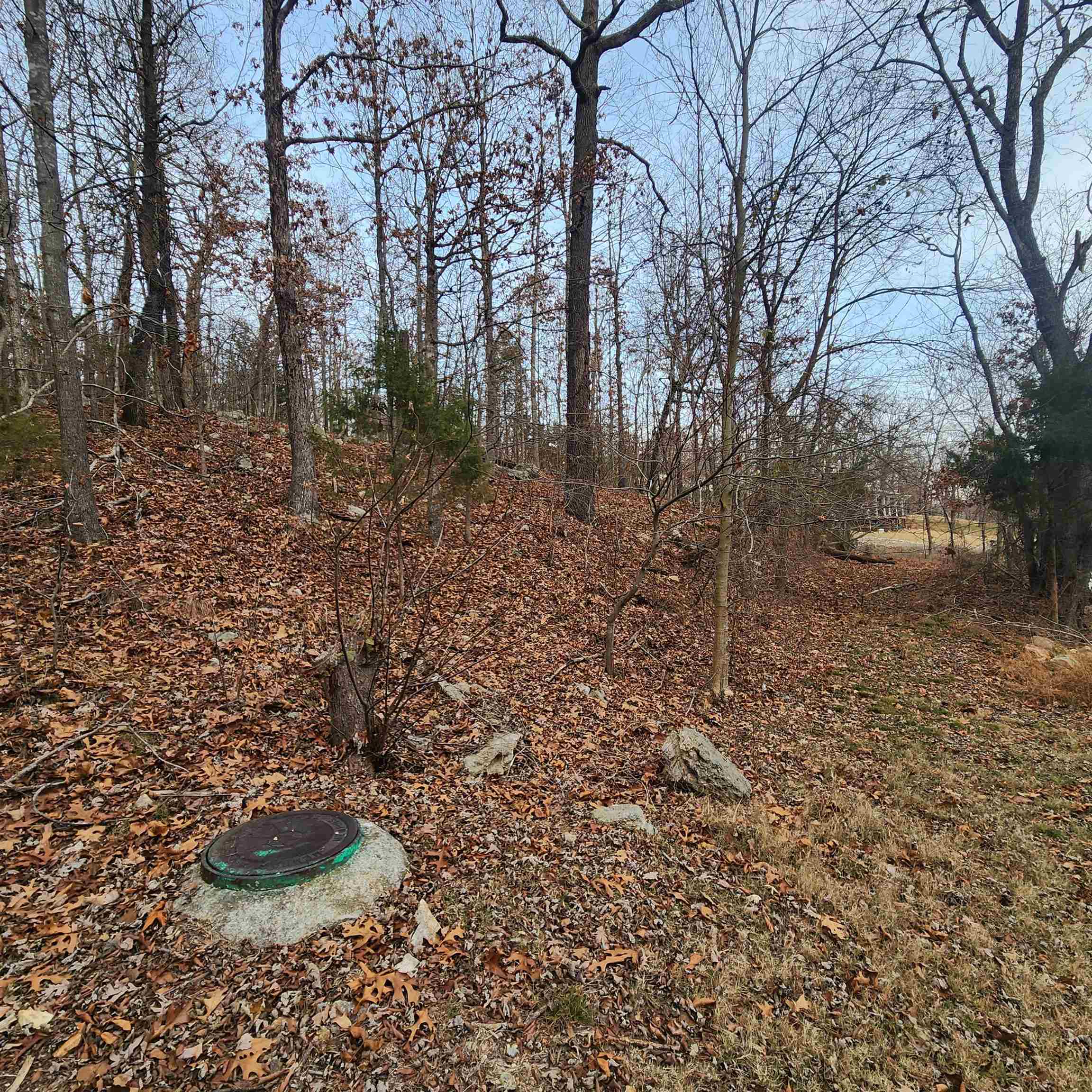 307-403  Alexander Lot's 45-48 Crown View Horseshoe Bend, AR