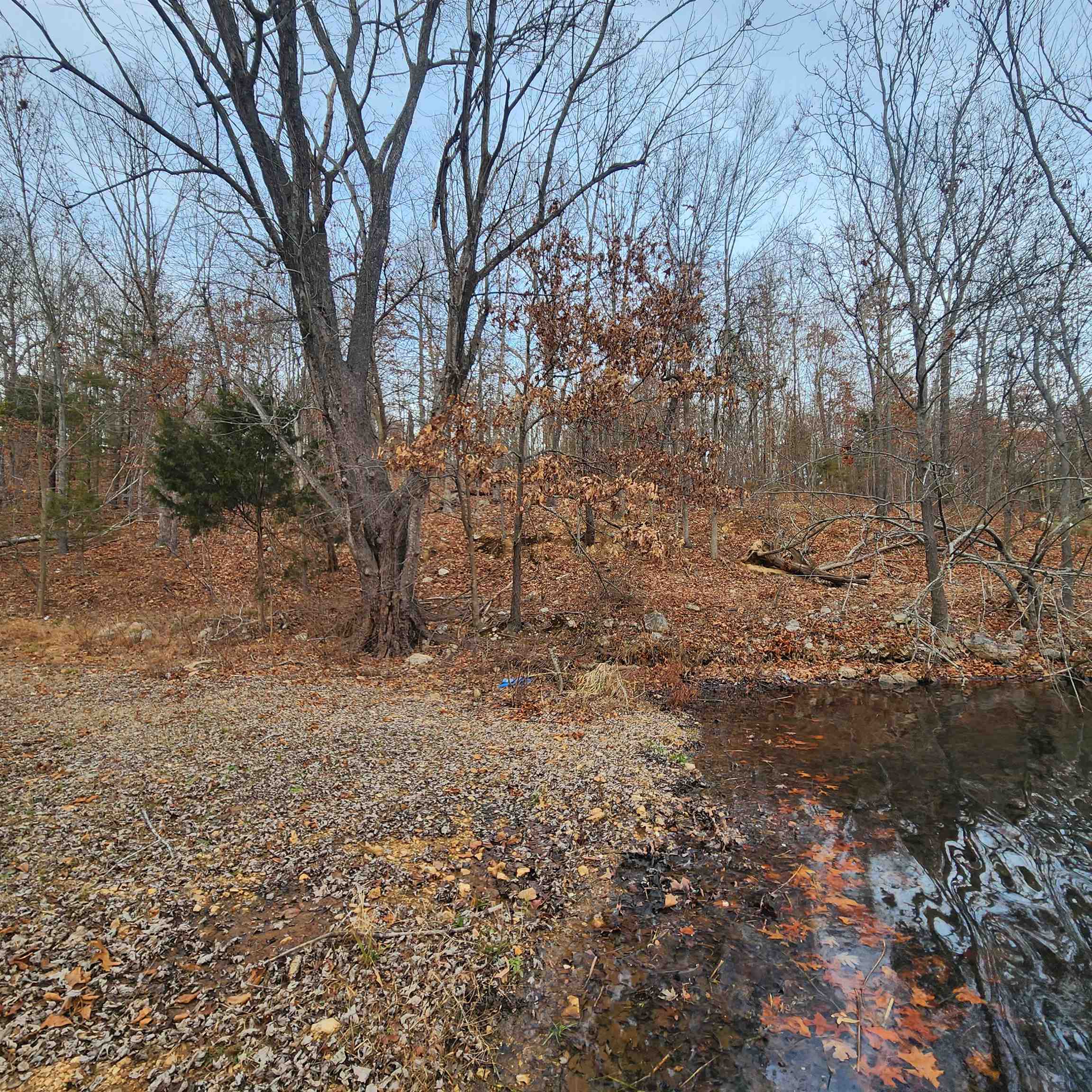 307-403  Alexander Lot's 45-48 Crown View Horseshoe Bend, AR