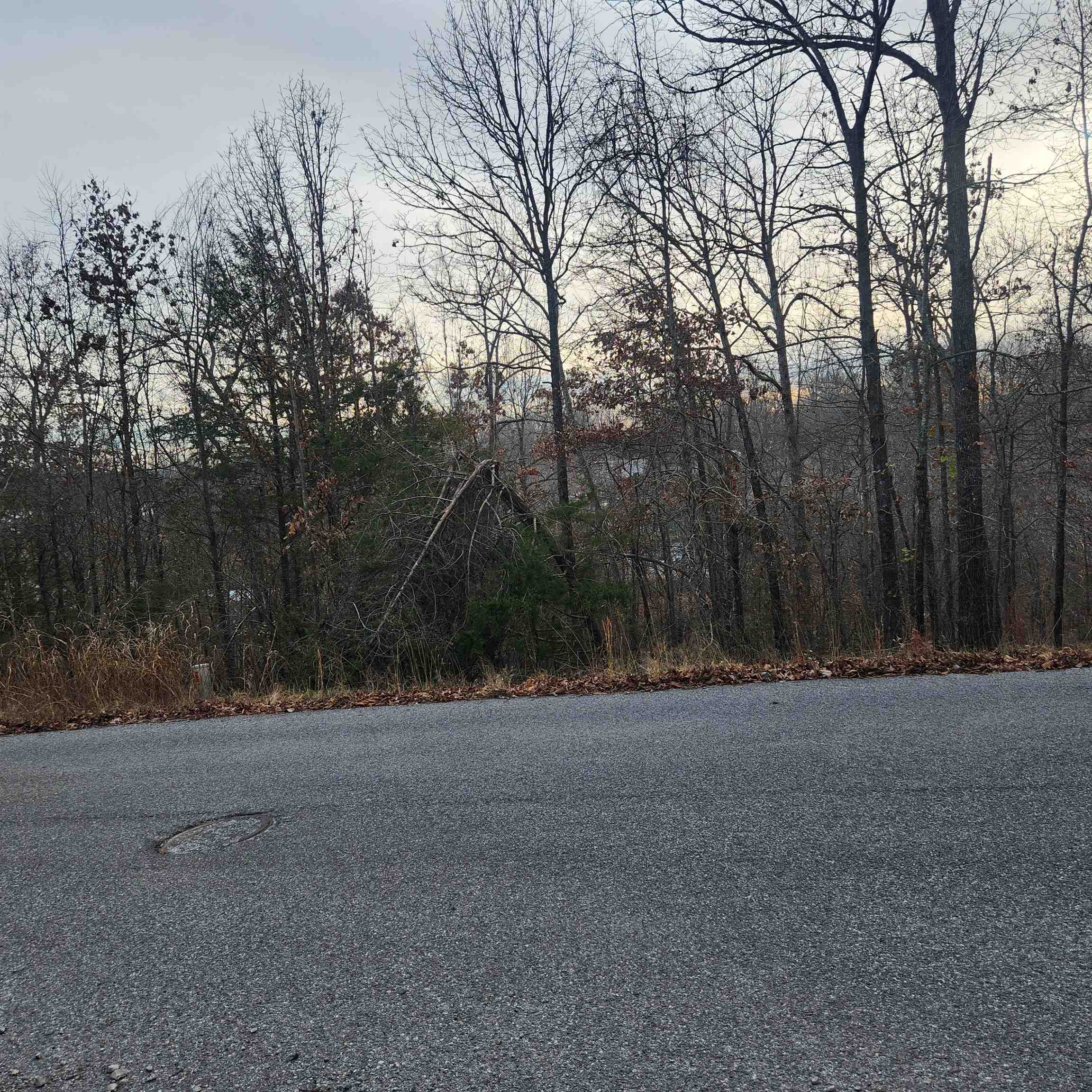 307-403  Alexander Lot's 45-48 Crown View Horseshoe Bend, AR