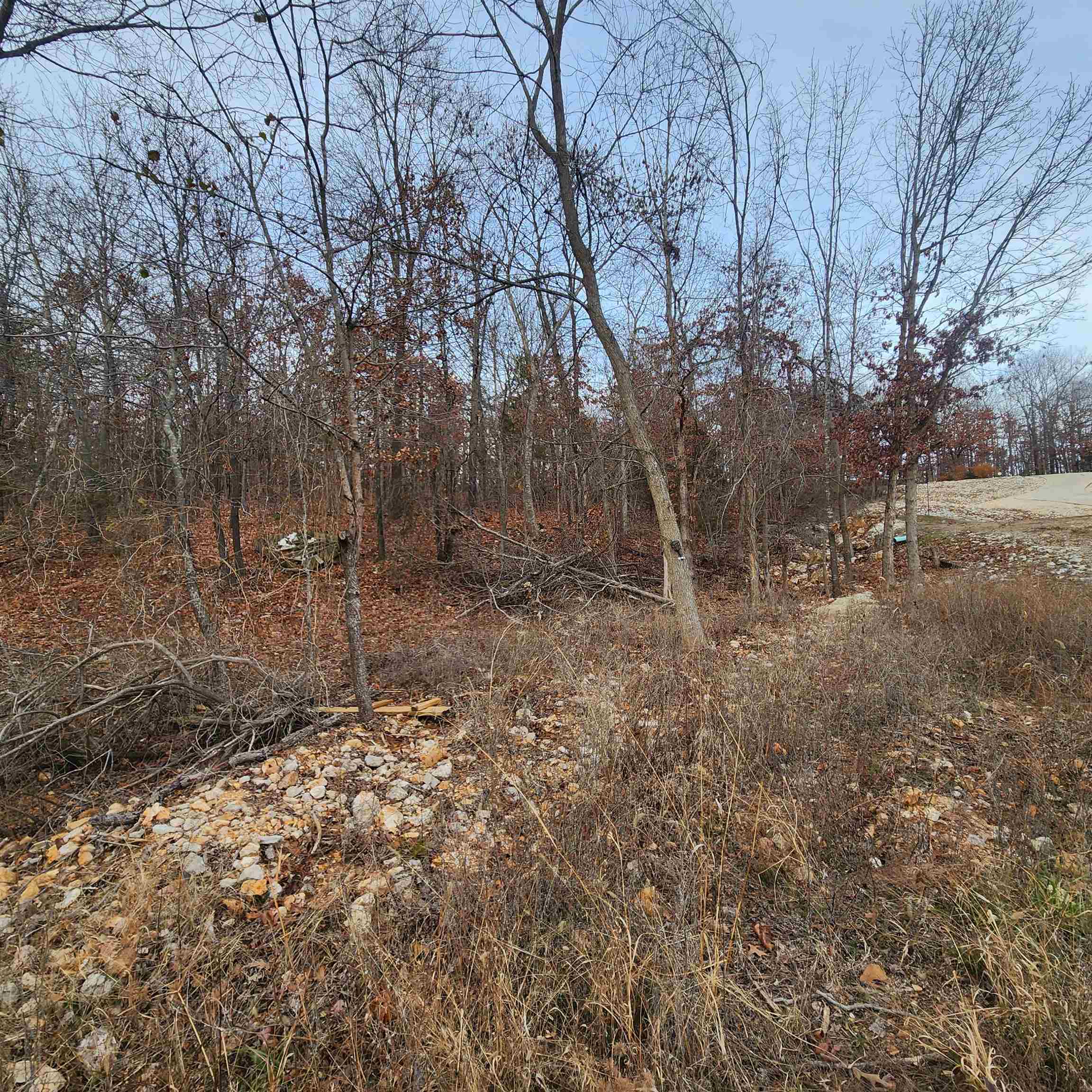 307-403  Alexander Lot's 45-48 Crown View Horseshoe Bend, AR