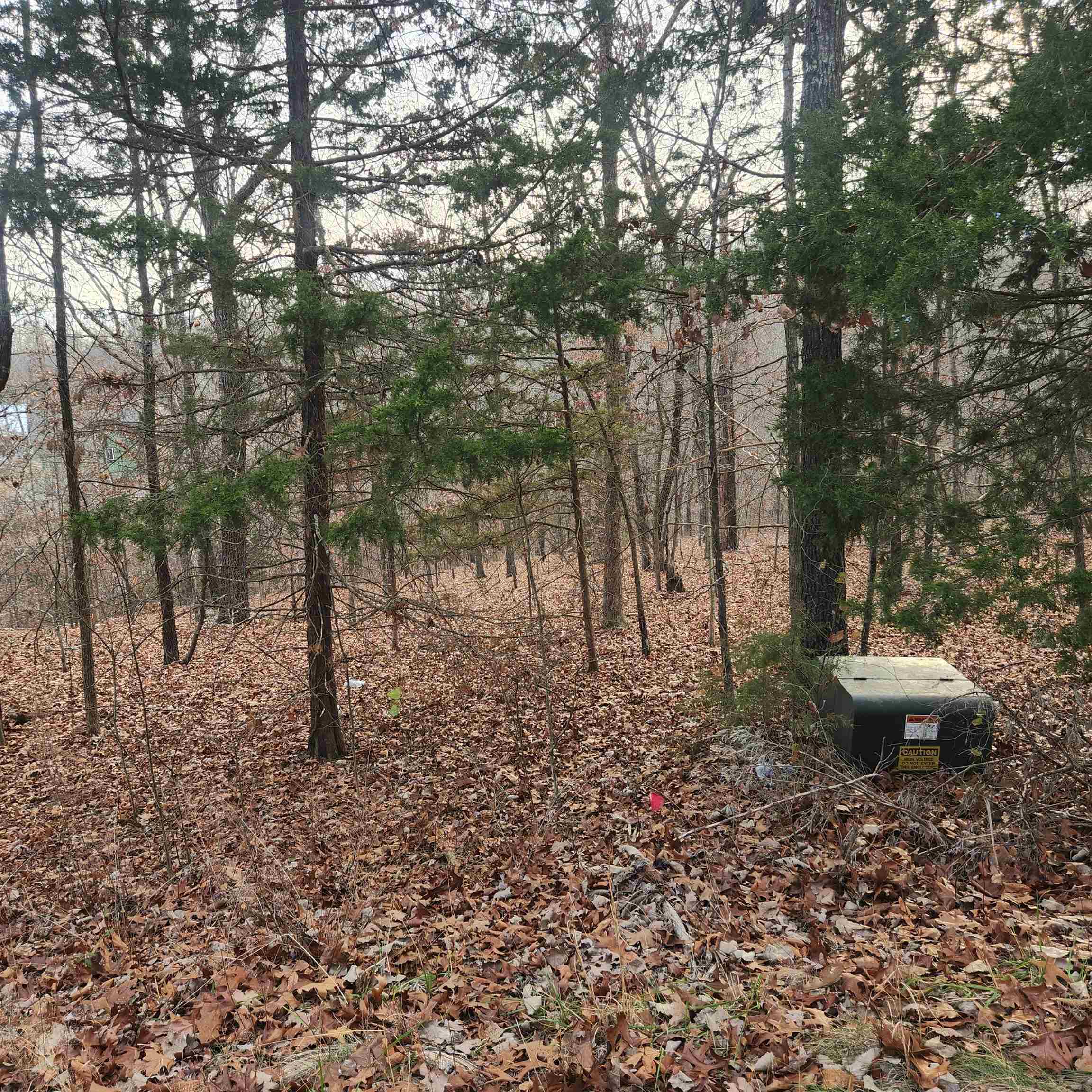 307-403  Alexander Lot's 45-48 Crown View Horseshoe Bend, AR