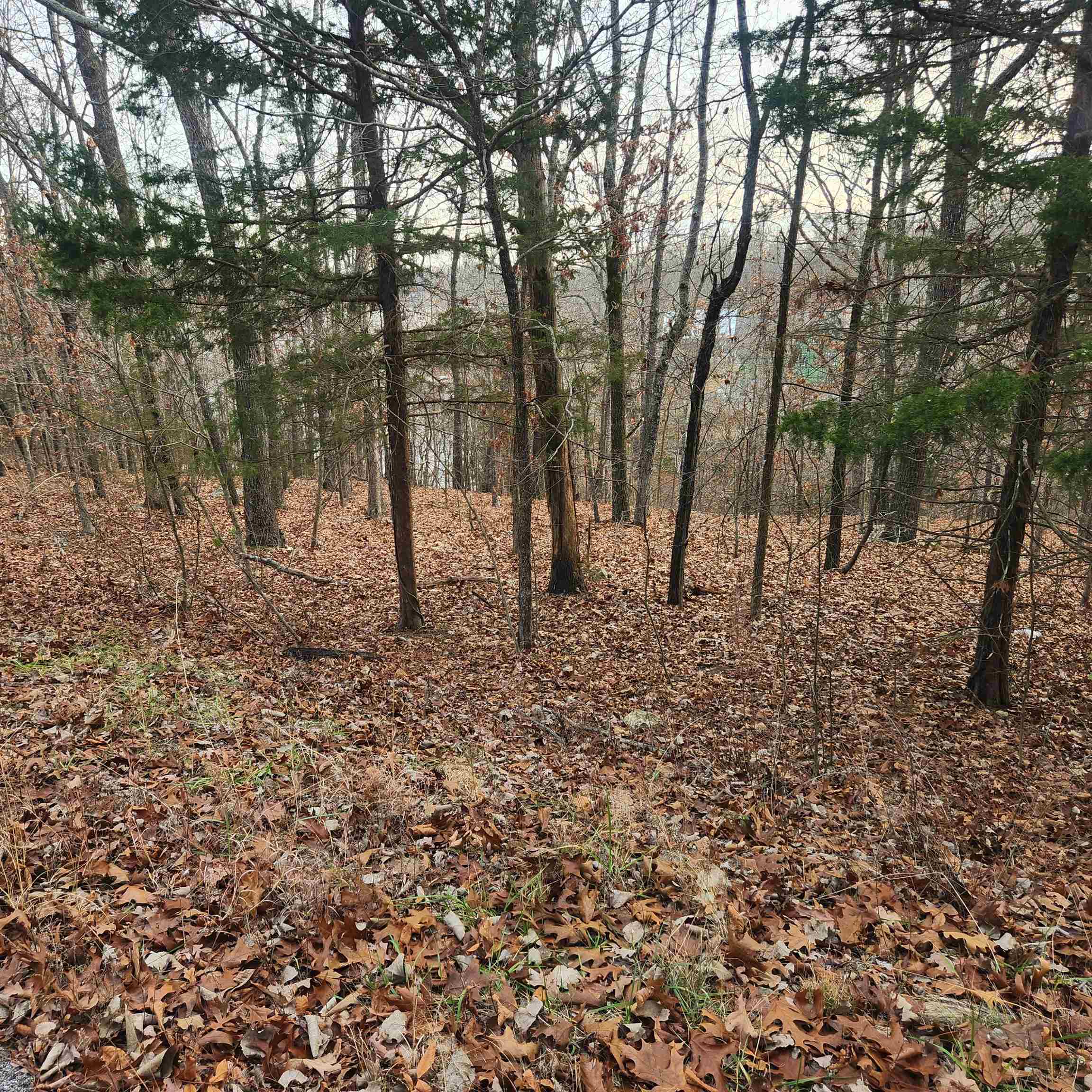 307-403  Alexander Lot's 45-48 Crown View Horseshoe Bend, AR